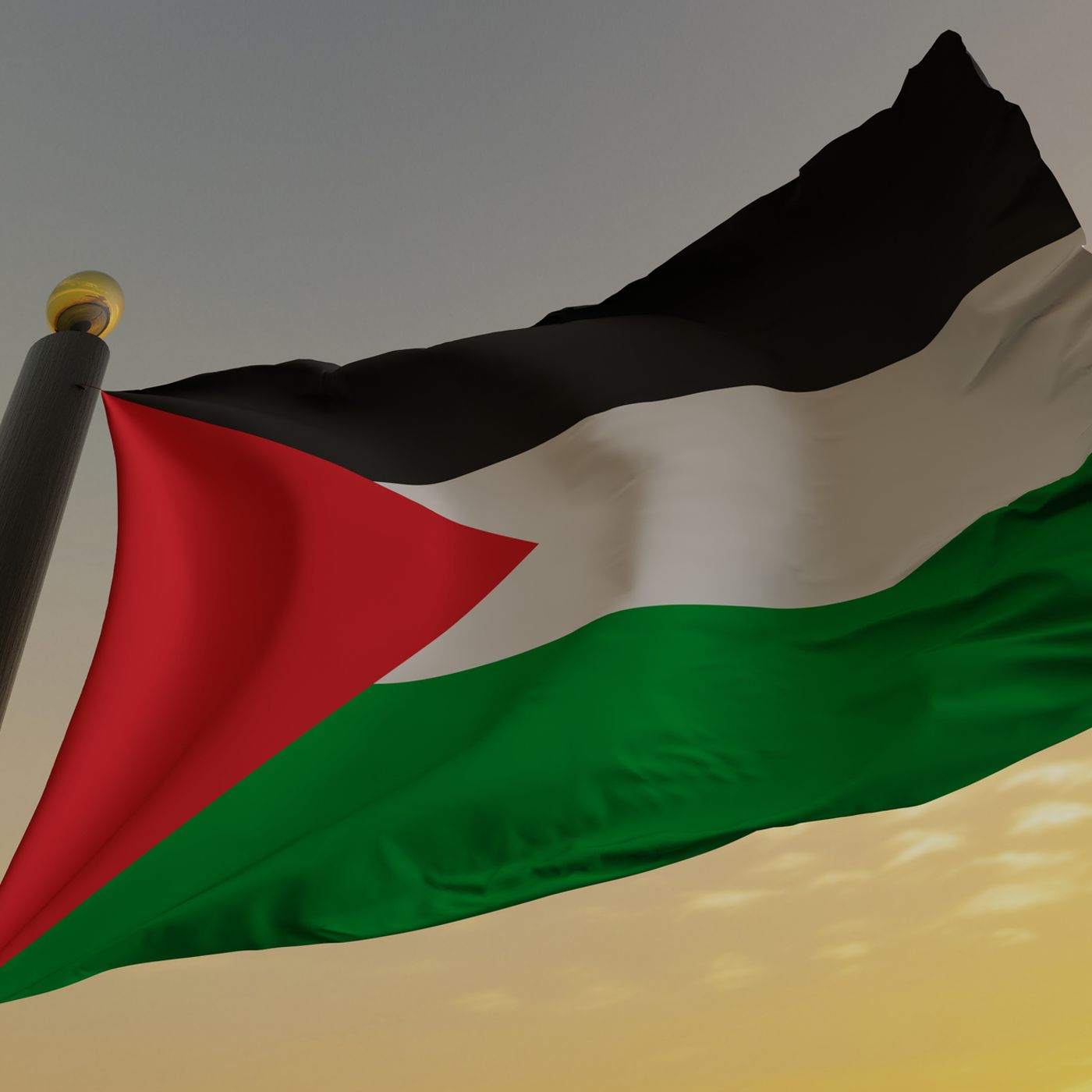 Palestina: conseguenze e significato del riconoscimento internazionale episode artwork