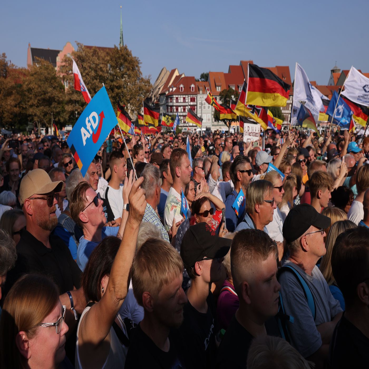 The AfD and Germany's Nazi past