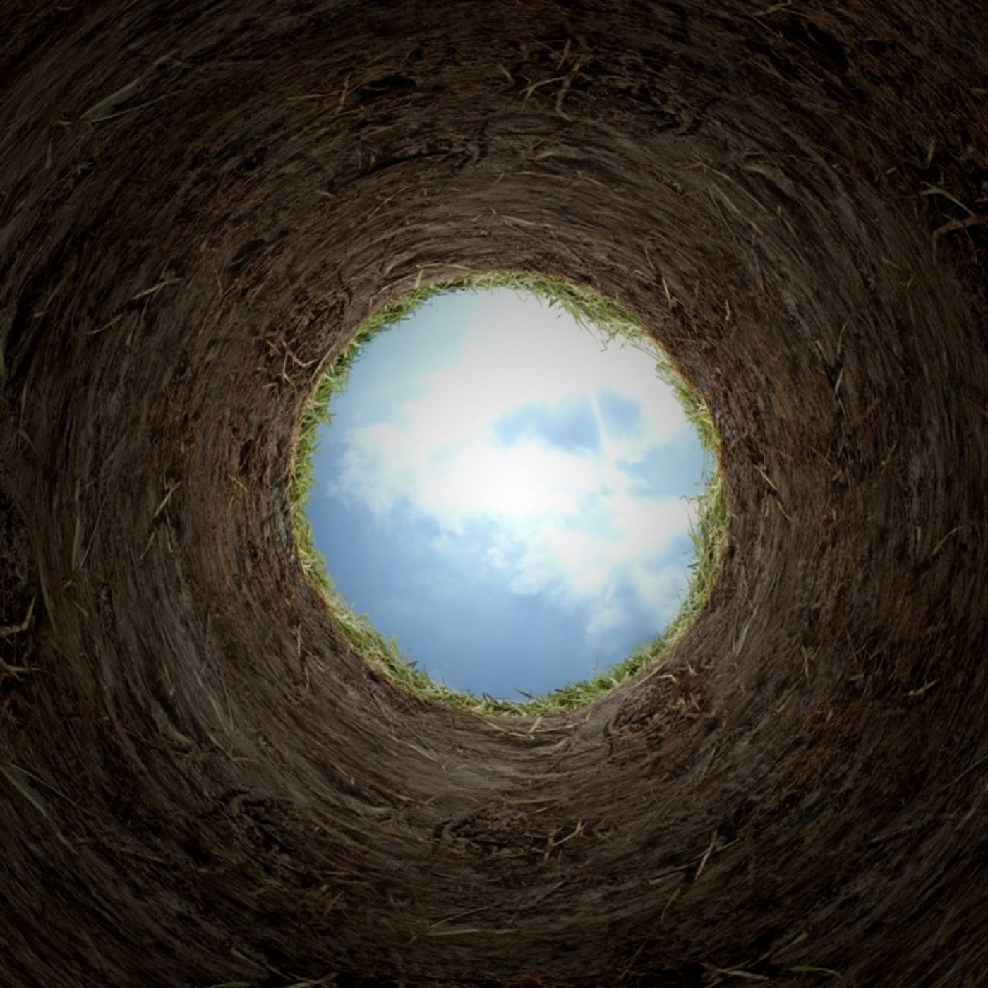 The rabbit hole (Your not ready) episode artwork