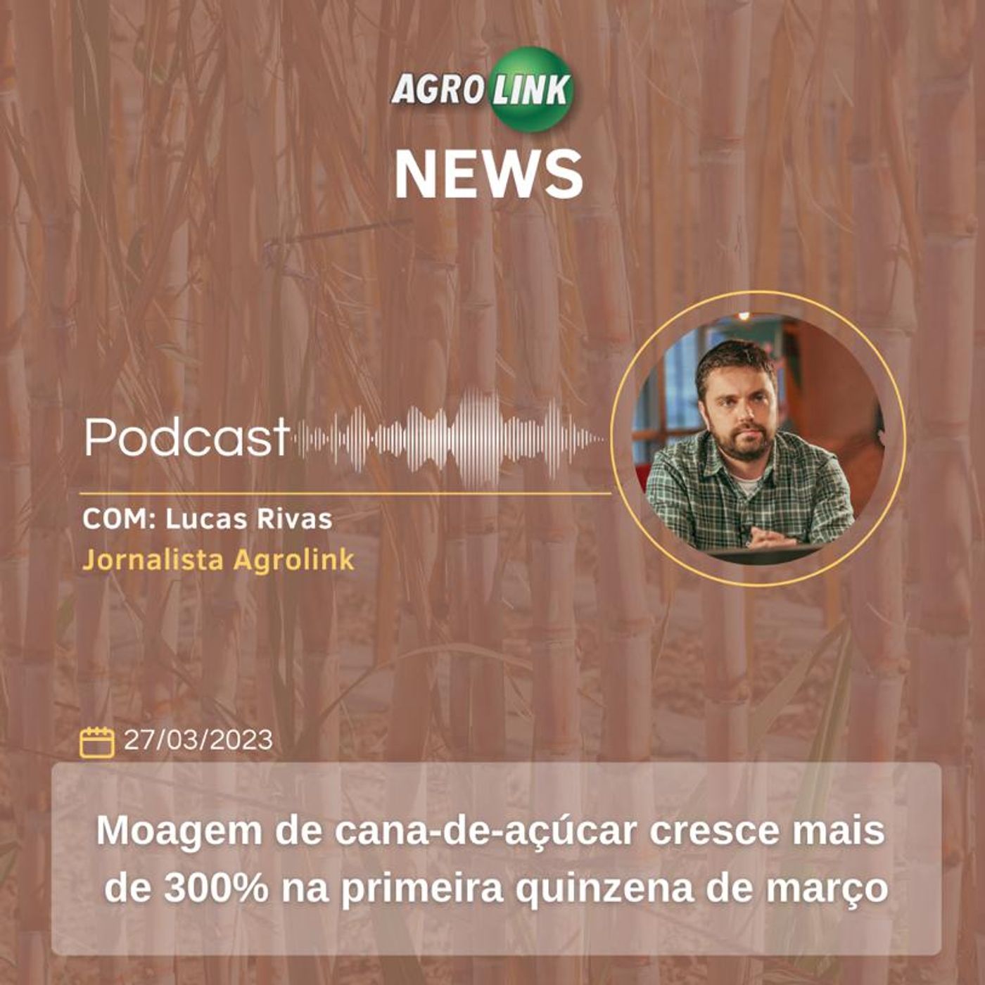 Exportações de frango de Santa Catarina crescem 28% no primeiro bimestre do ano episode artwork