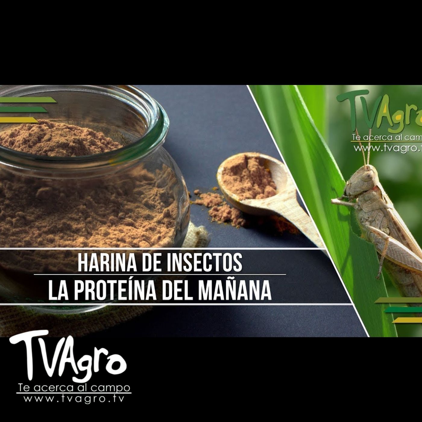 TV AGRO