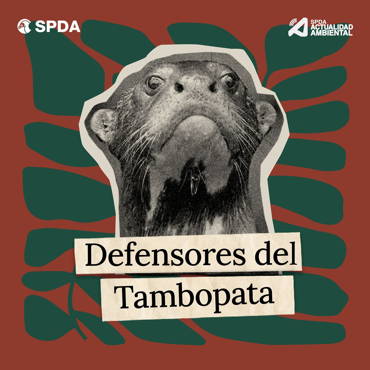 Defensores del Tambopata