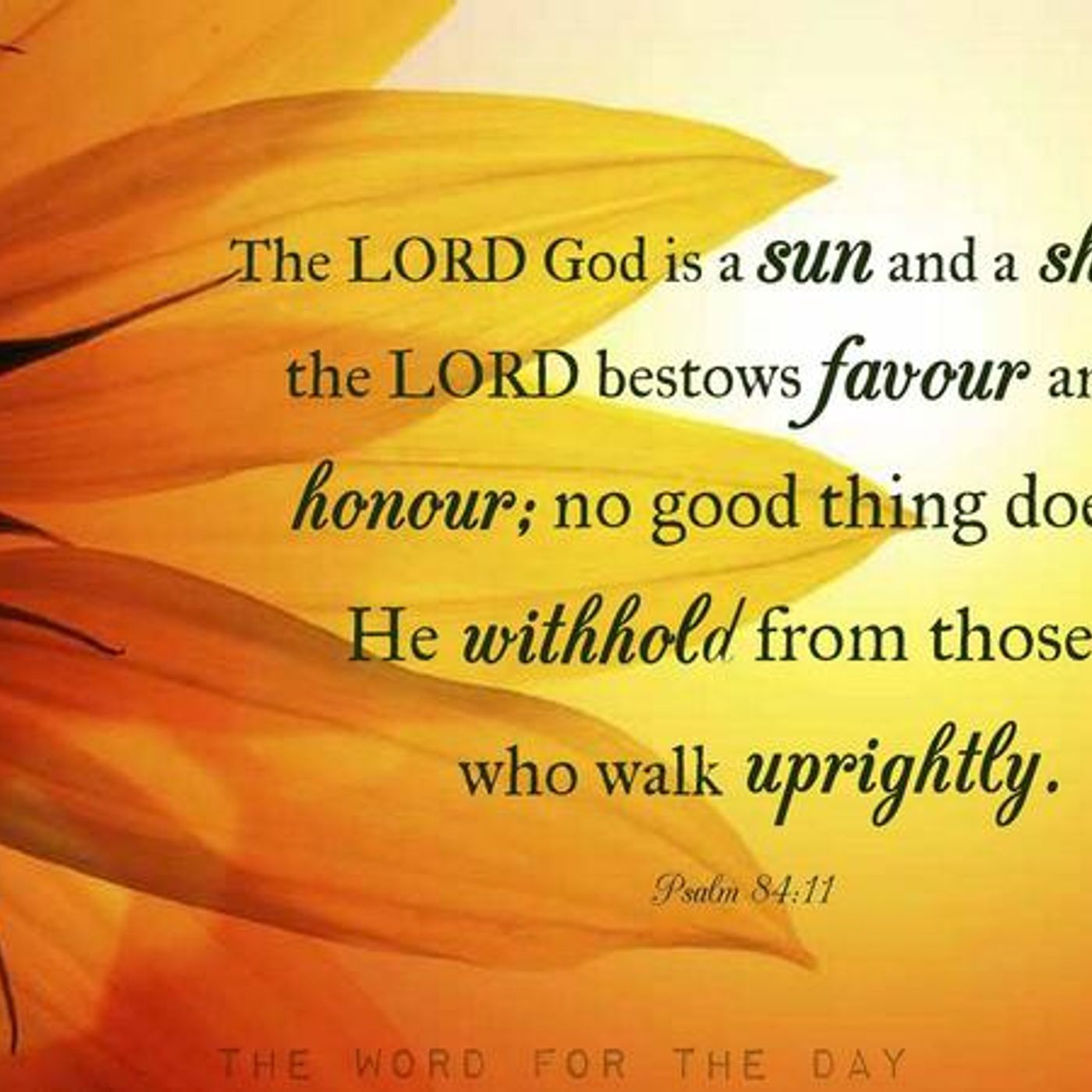 Divine Benefits For Those Who Walk Uprightly (Part 2) Psalm 84:11 - S2 [B290] episode artwork