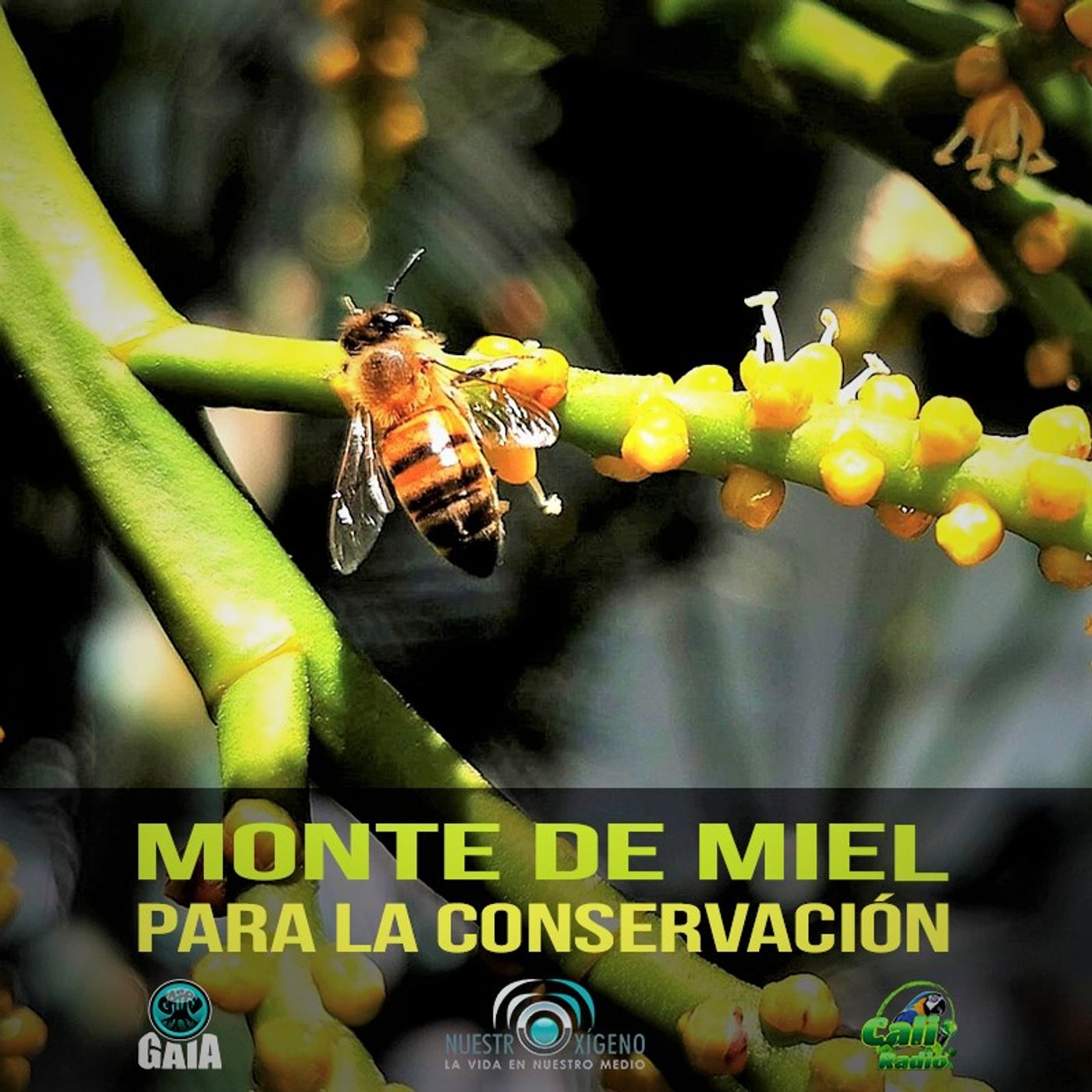 2022 Nuestro Oxigeno 03- Marzo