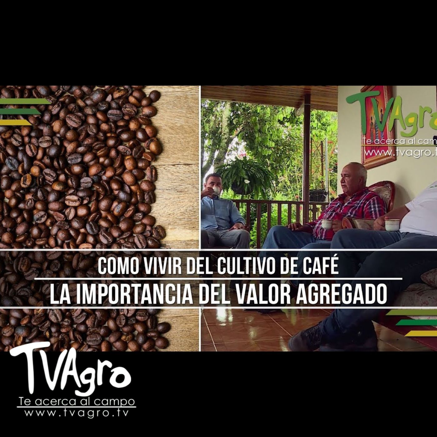 TV AGRO
