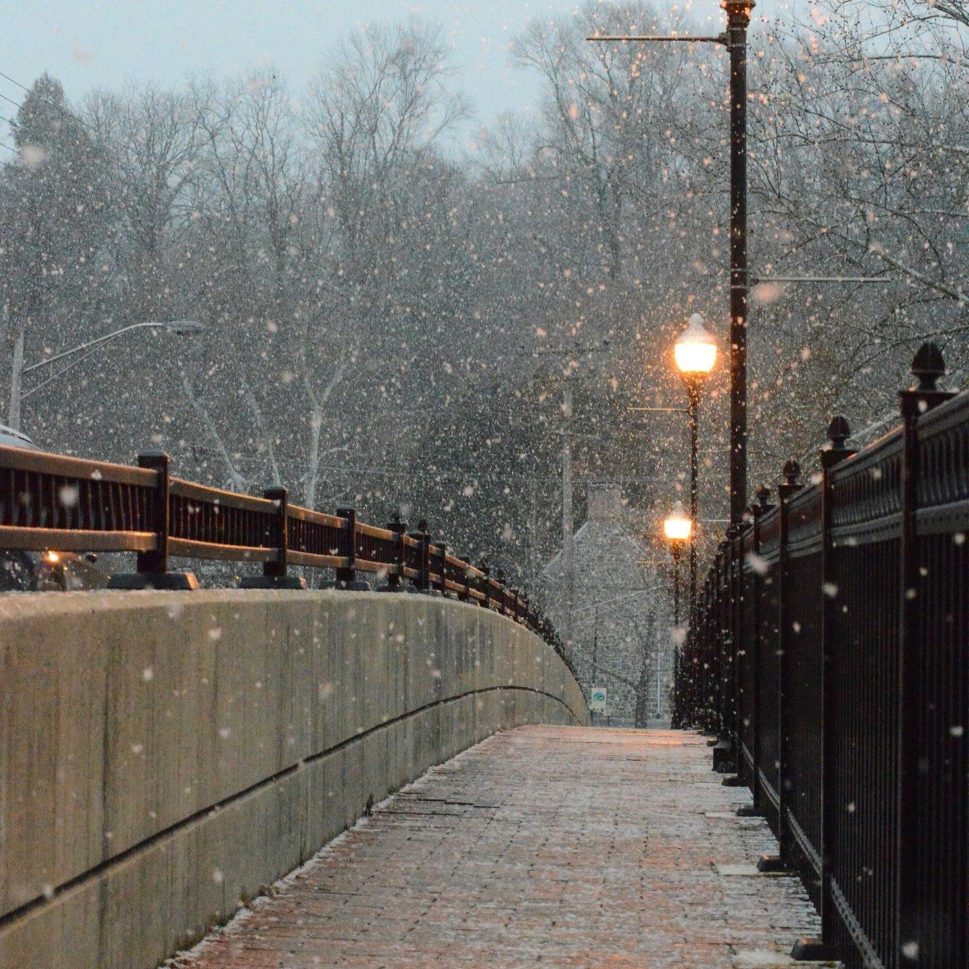 February Care: What Actually Sustains Us When Winter Is Heavy, Episode 37 episode artwork