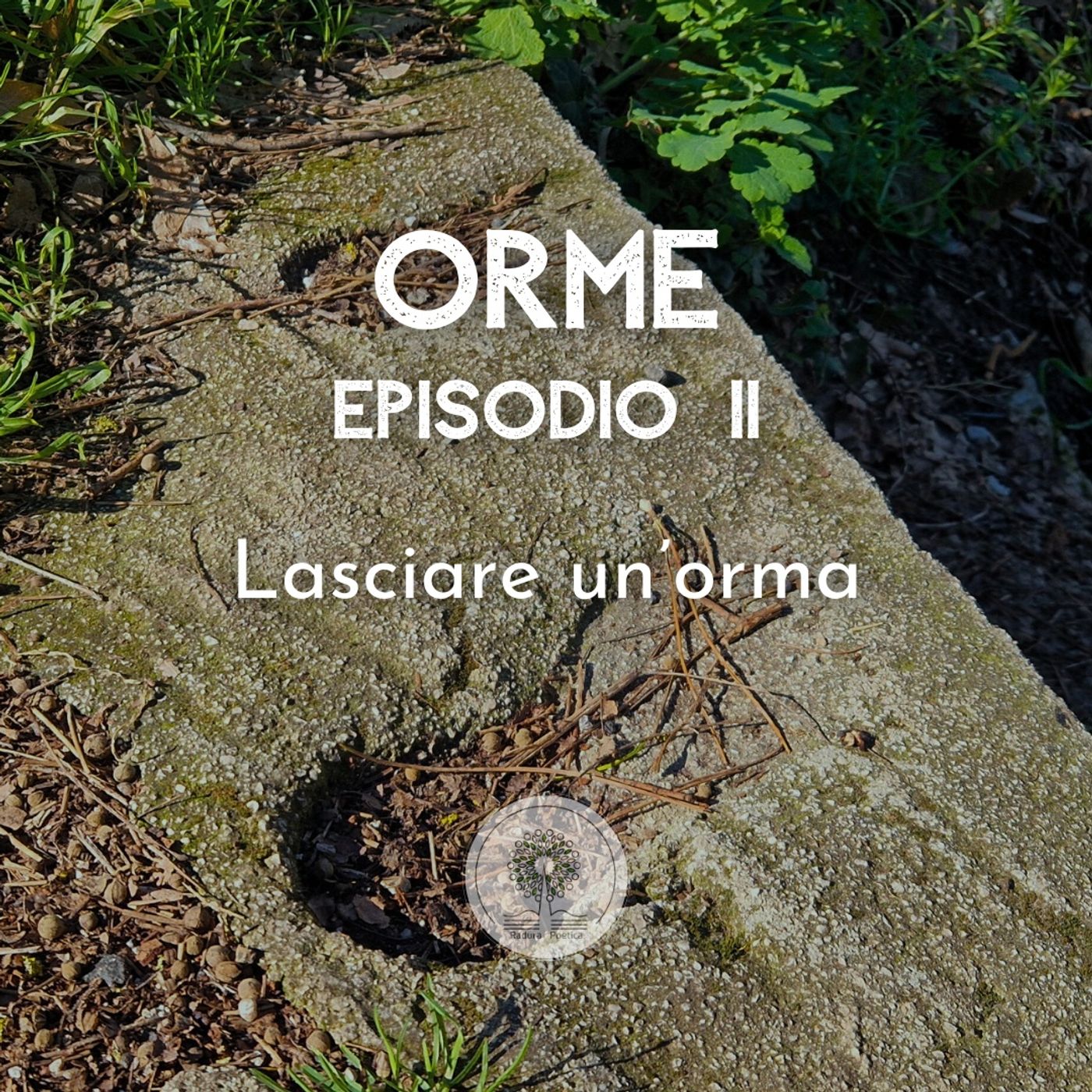 Orme 👣 - Il podcast di Radura Poetica 🎙📚