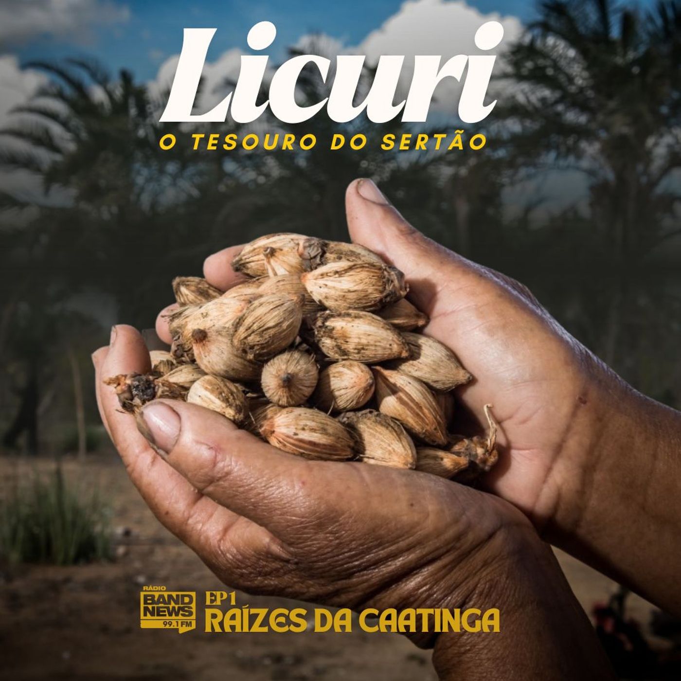 Licuri: o tesouro do Sertão - EP 1 Raízes da Caatinga | por Paloma Morais episode artwork