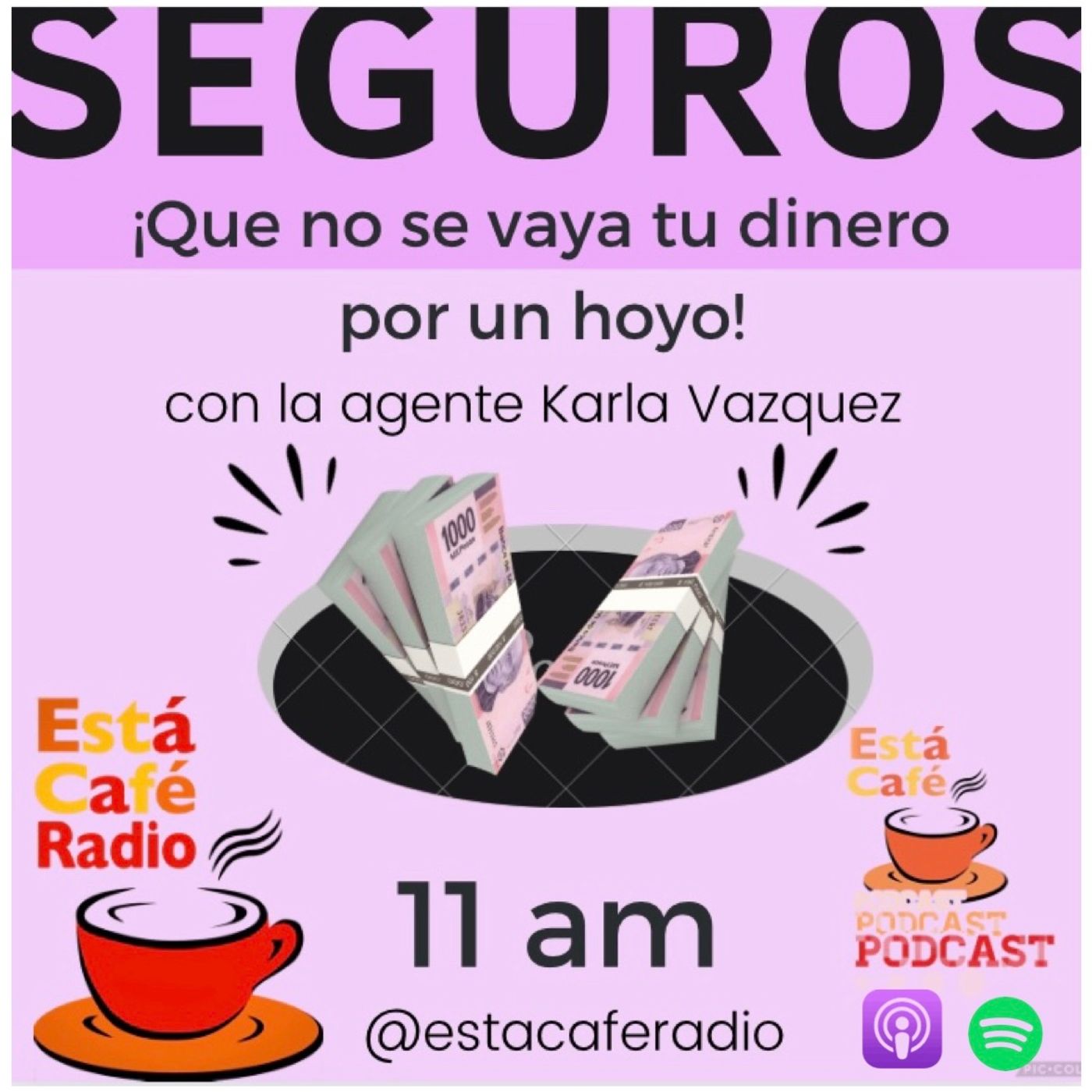 Seguros, que no se vaya tu dinero por un hoyo! episode artwork