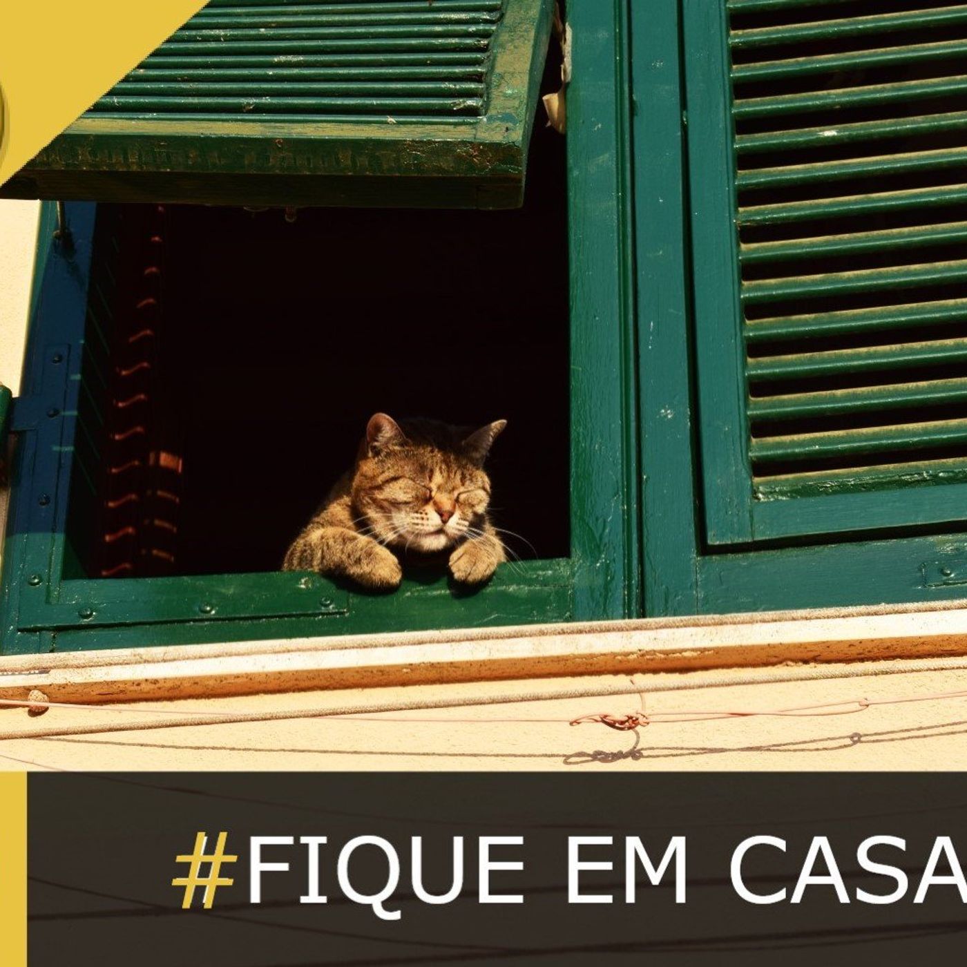 Fala Gamer Cast - #49 FIQUE EM CASA! episode artwork