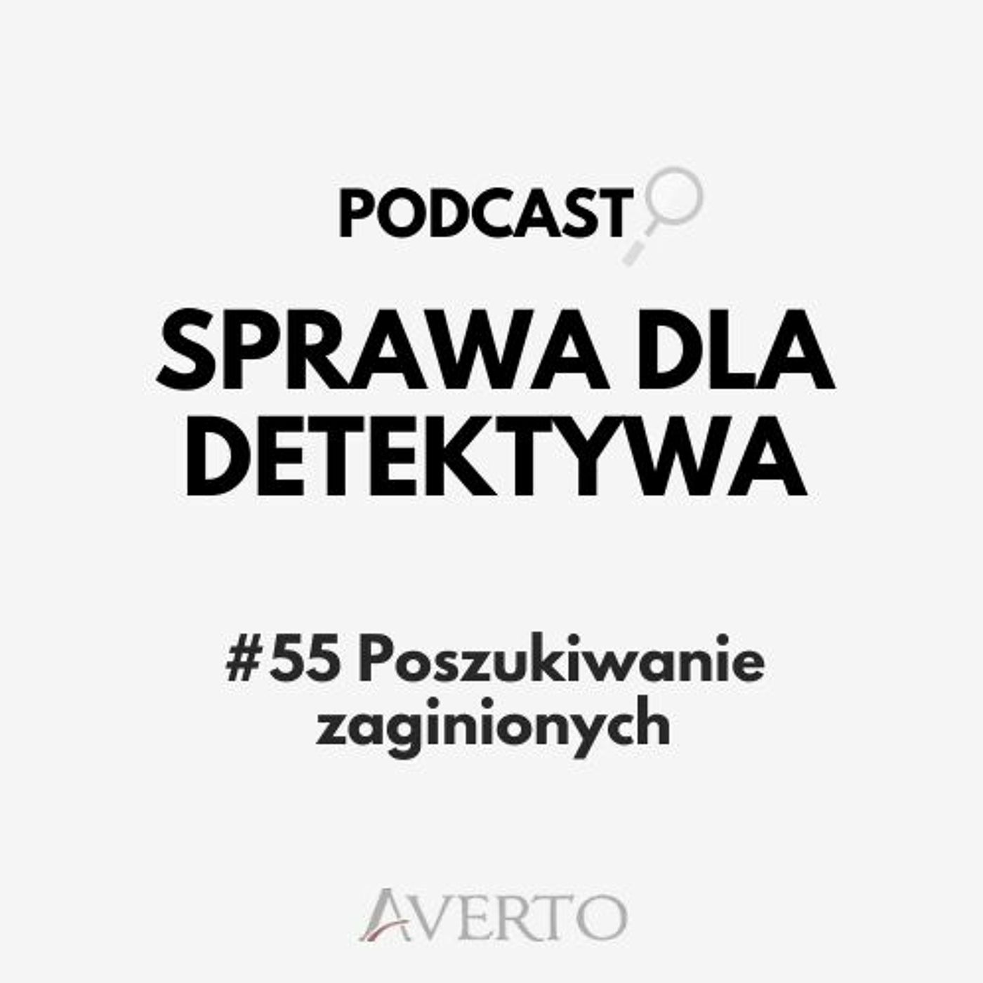 Sprawa dla detektywa
