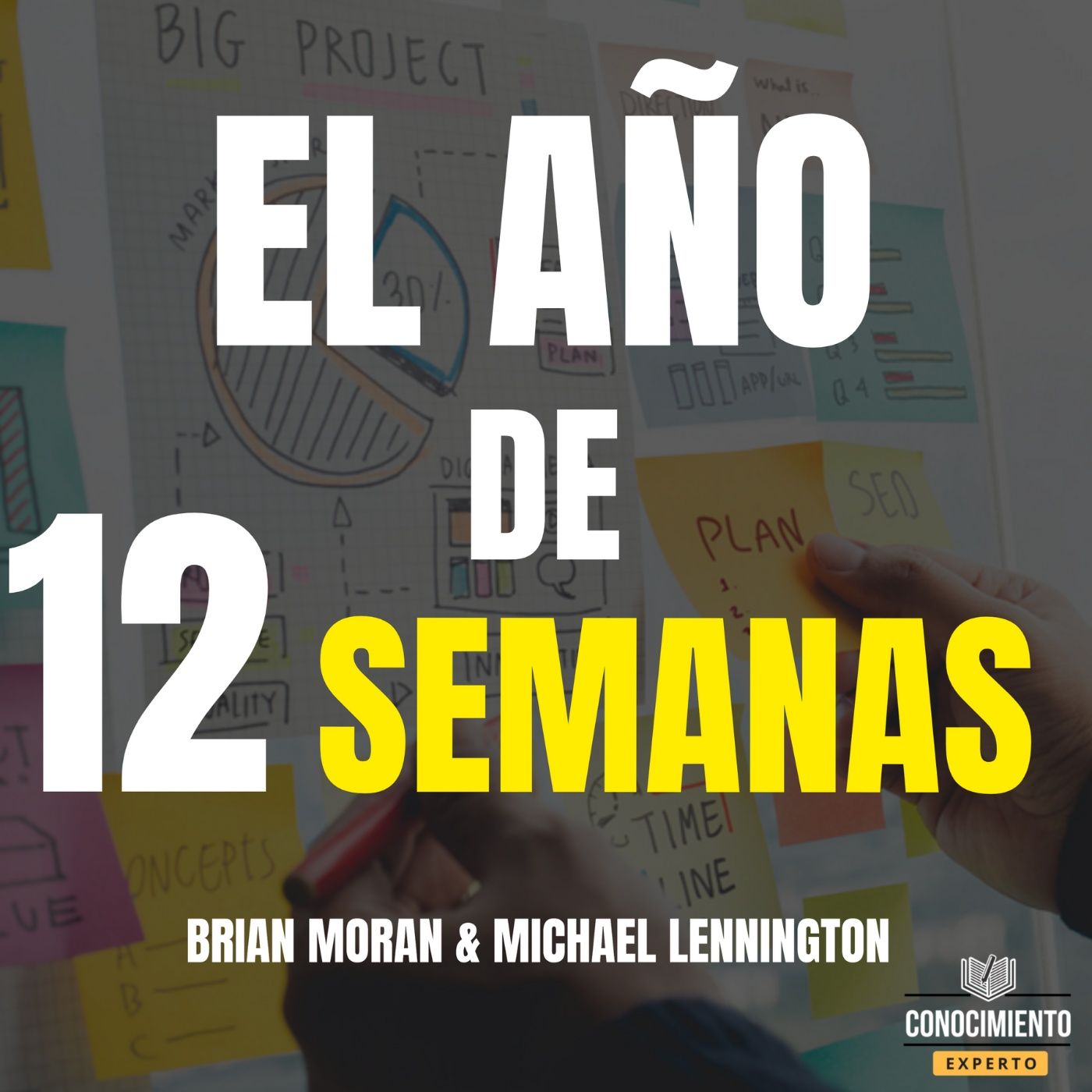 Conocimiento Experto