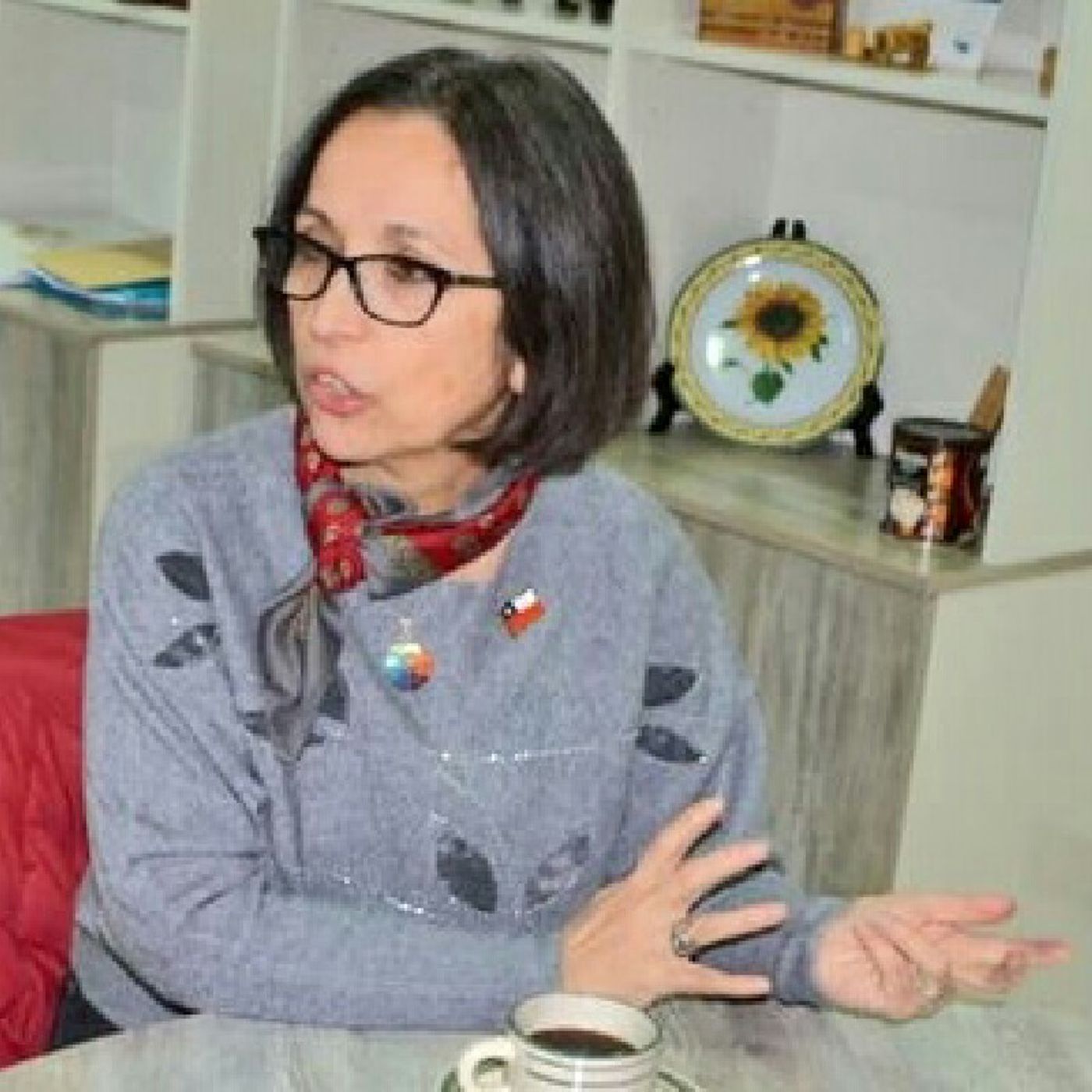 El Fueguino Radio.