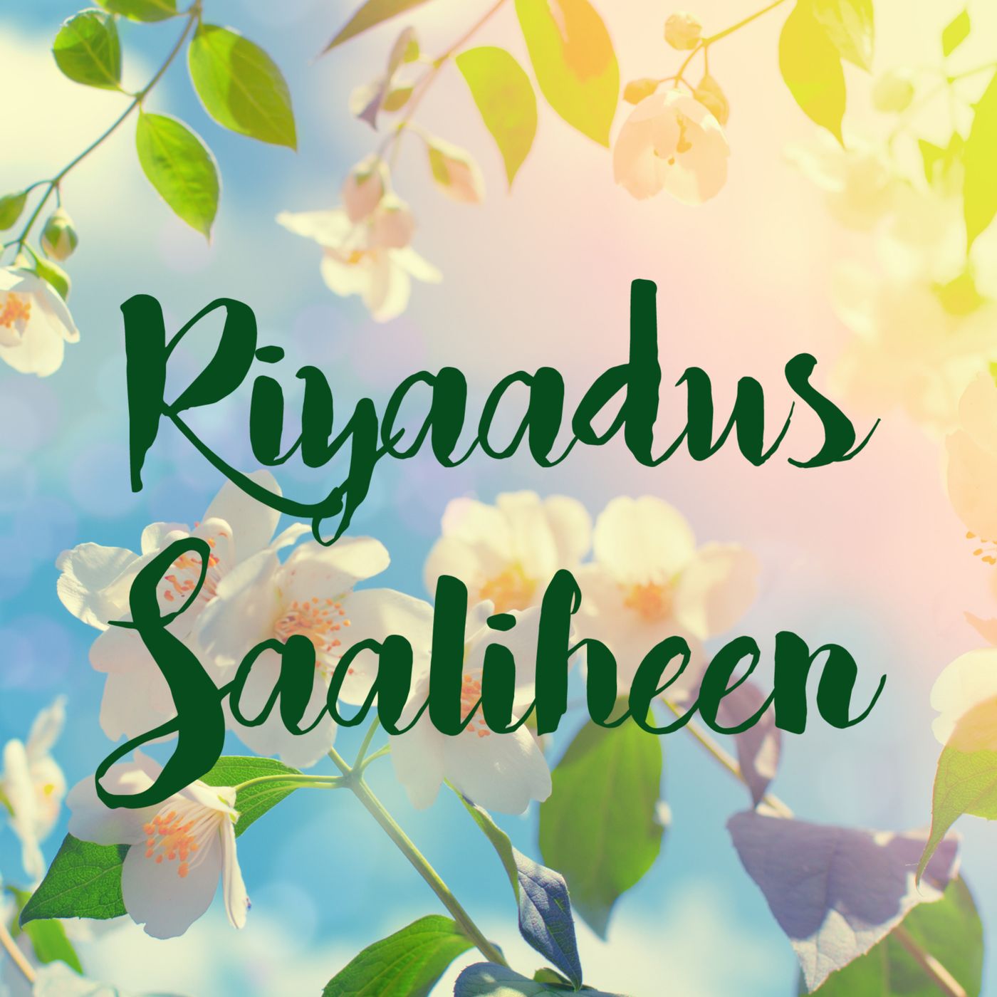 Riyaadus Saaliheen Quiz Review