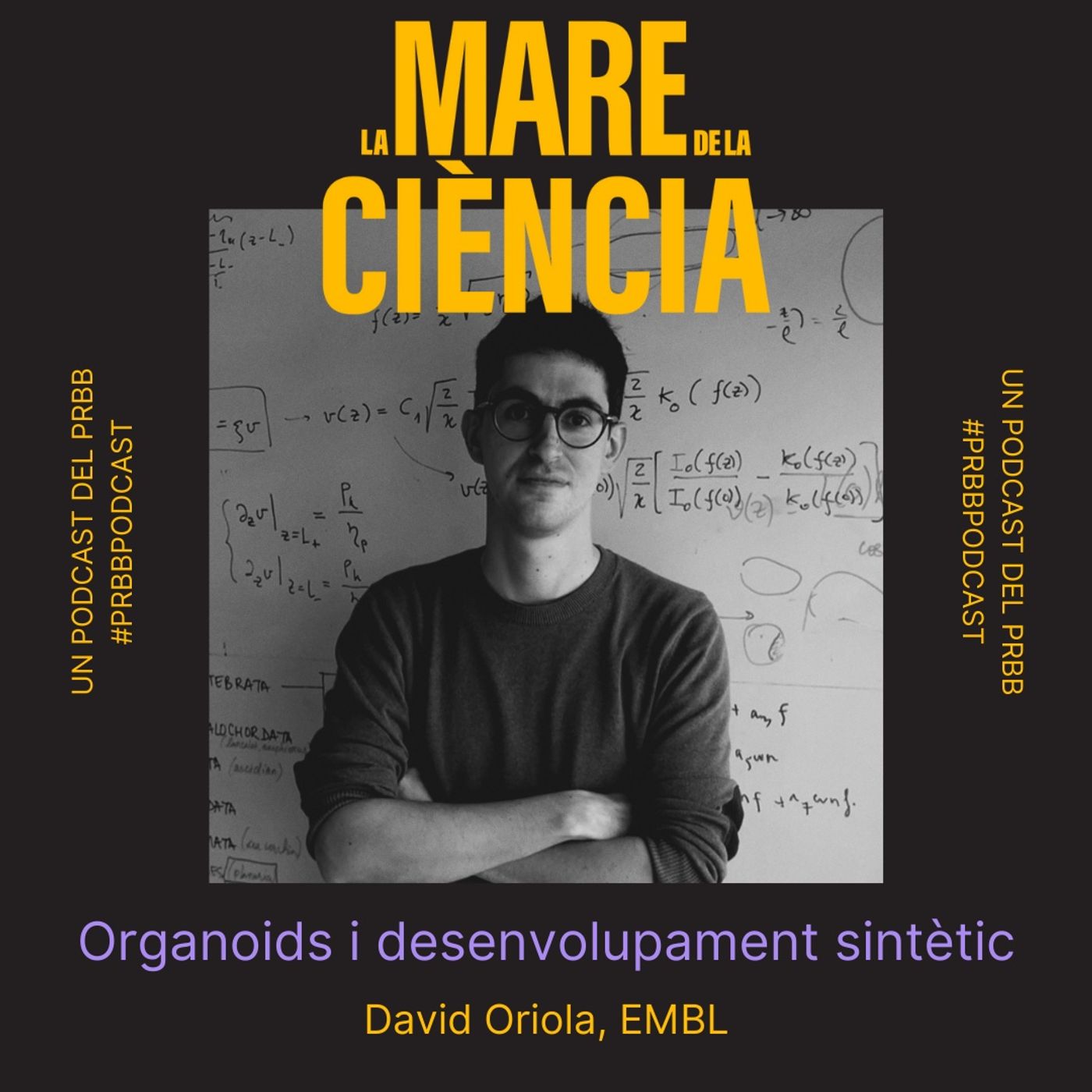 EP03: Organoids i desenvolupament sintètic amb el David Oriola