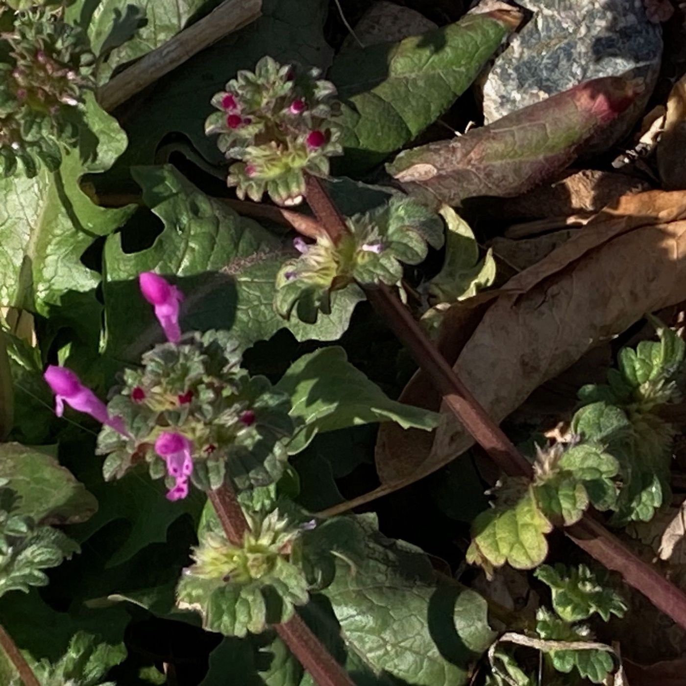 The Frontier Beyond Fear