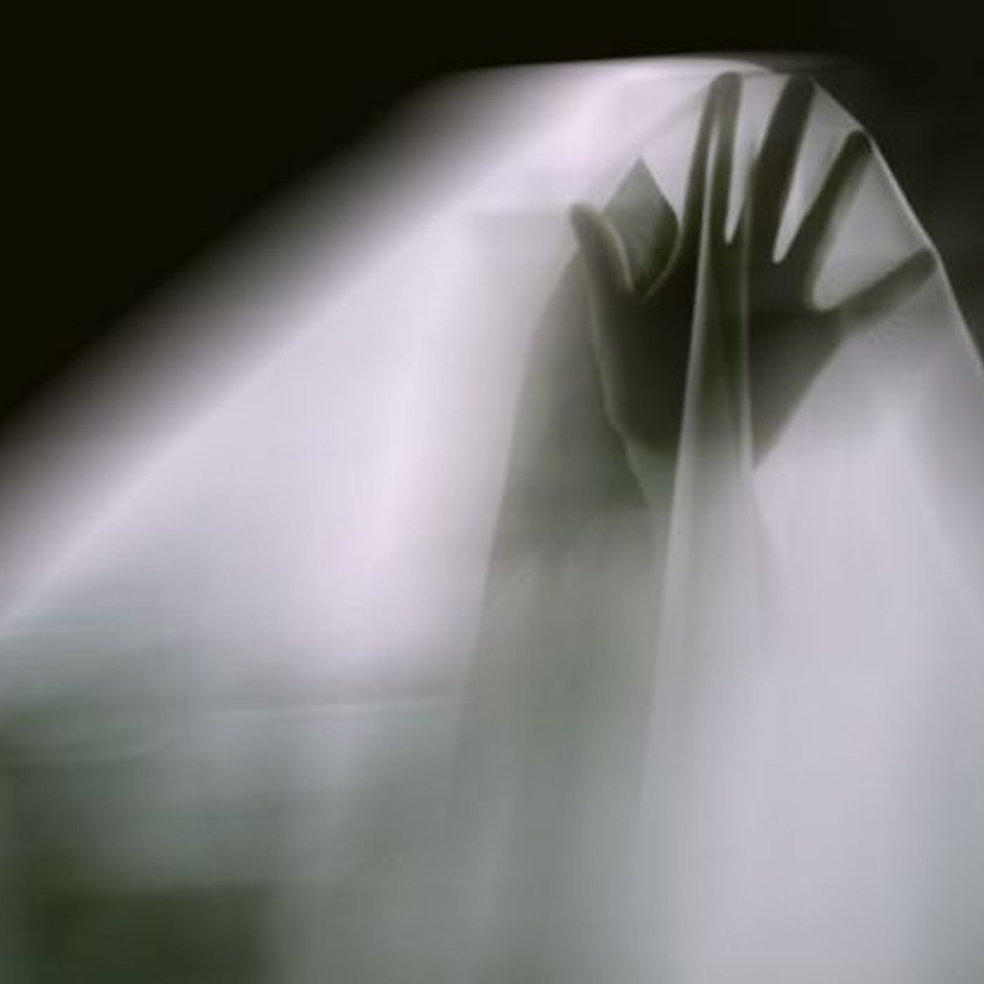 Historias de Miedo Febrero 4 de 2022 APARECIDOS