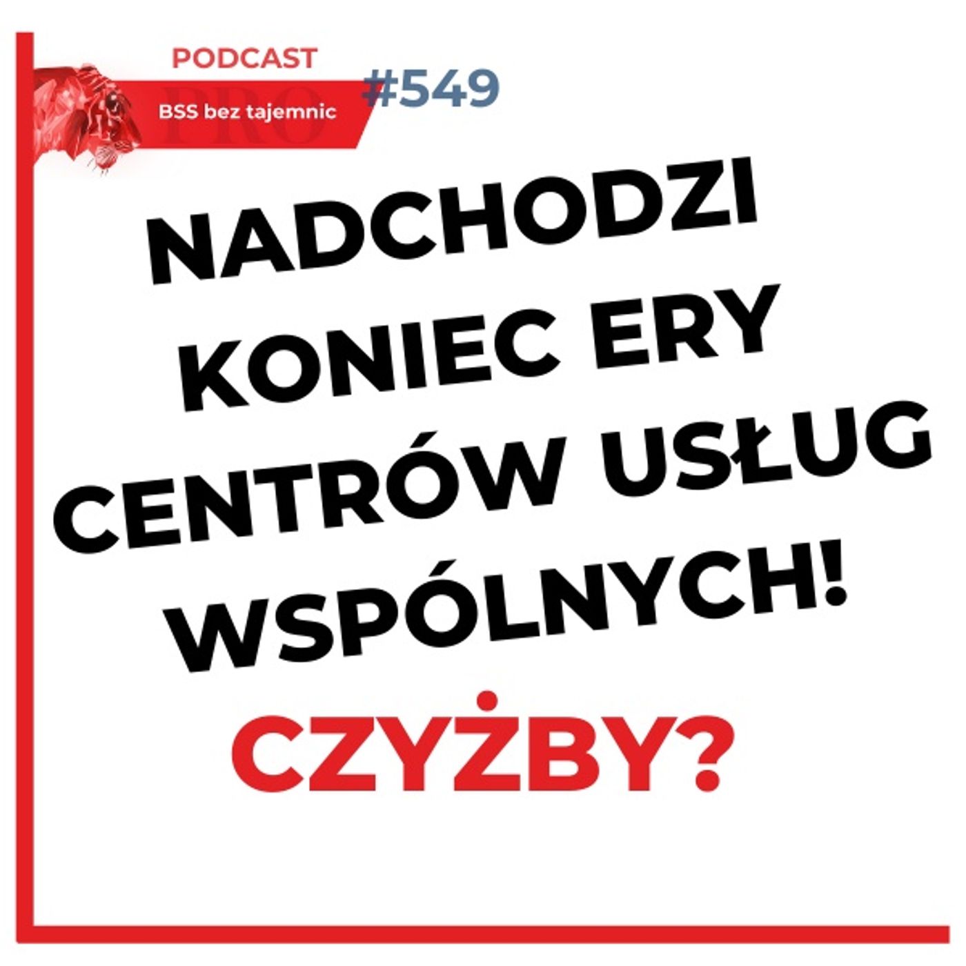 BSS bez tajemnic