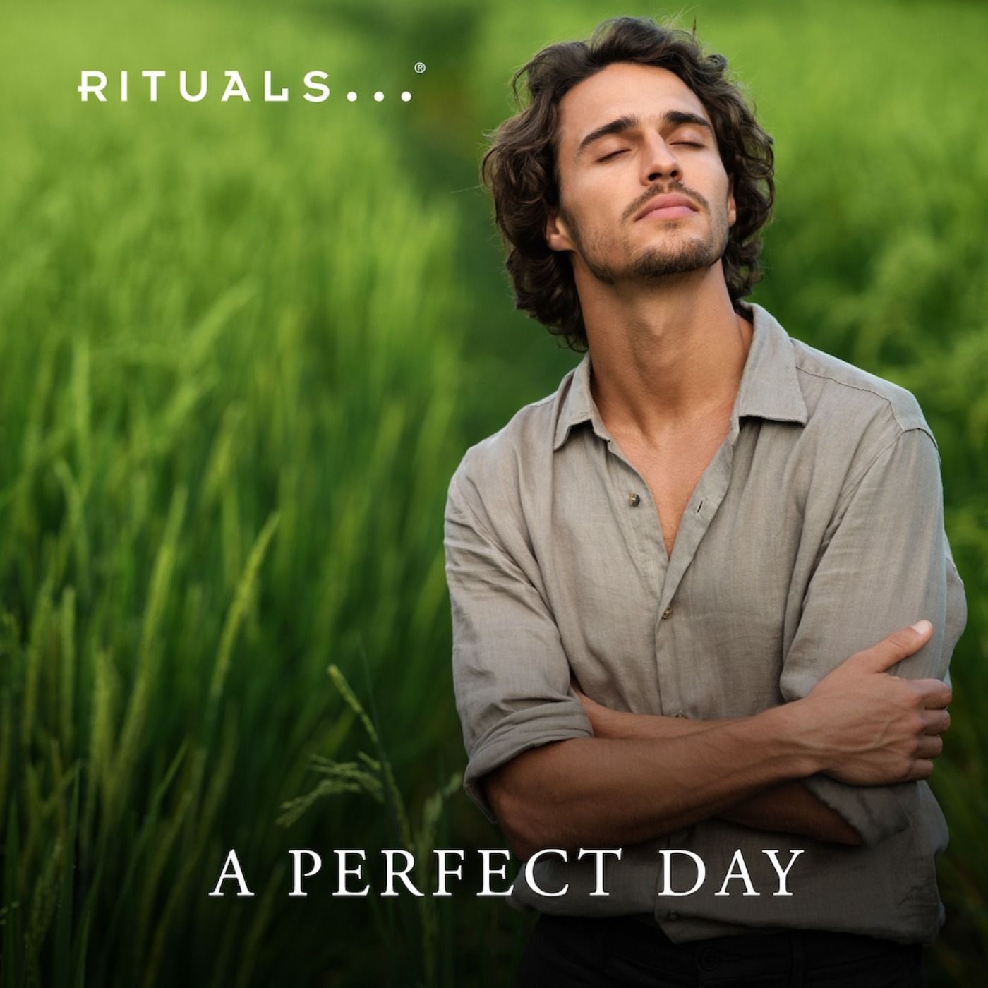 A Perfect Day A Perfect Day