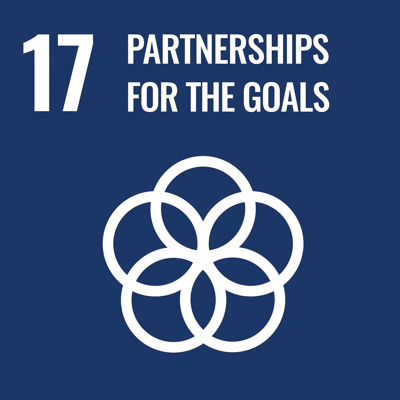 Episode 7 - Partnerships for the goals episode artwork