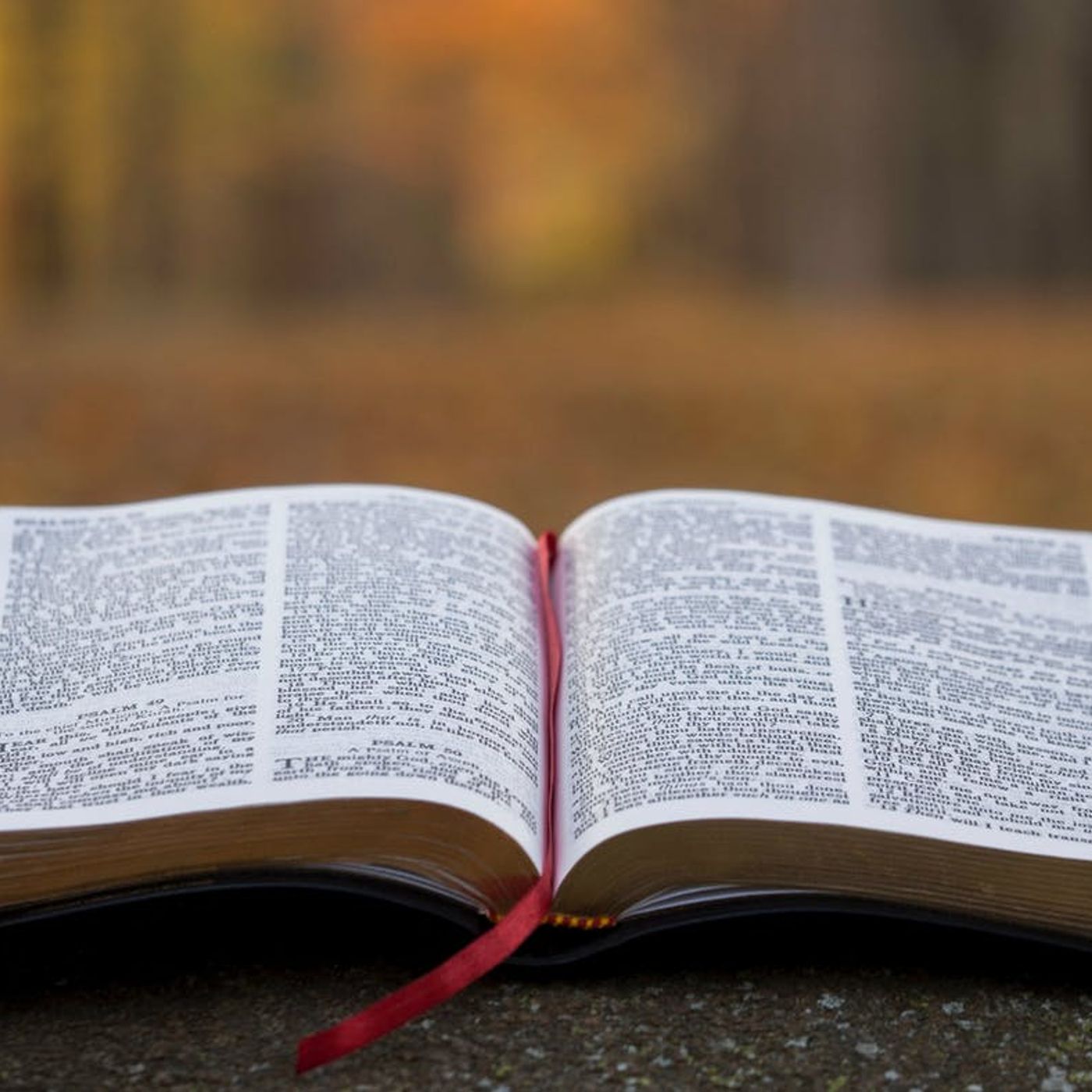 Reflexiones Cristianas