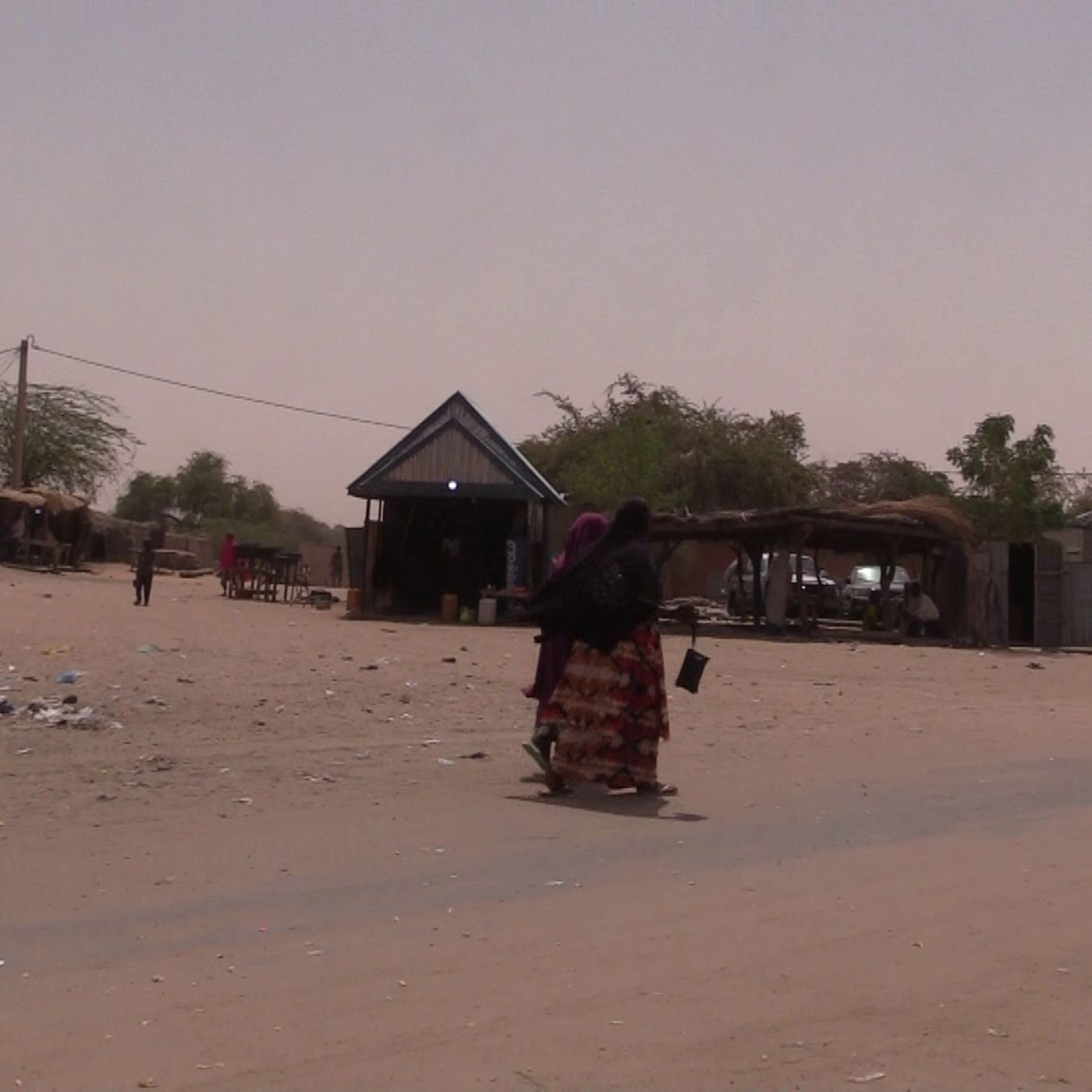 Histoire locale, sols agricoles et questions familiales (Le Niger sur Kalangou) episode artwork