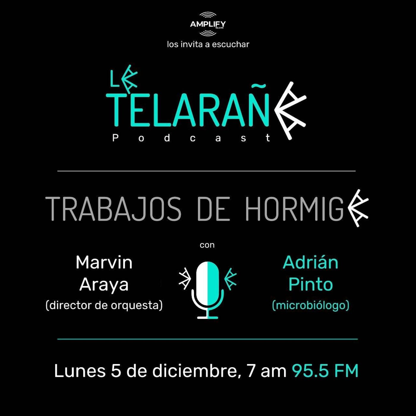 Portada de La Telaraña