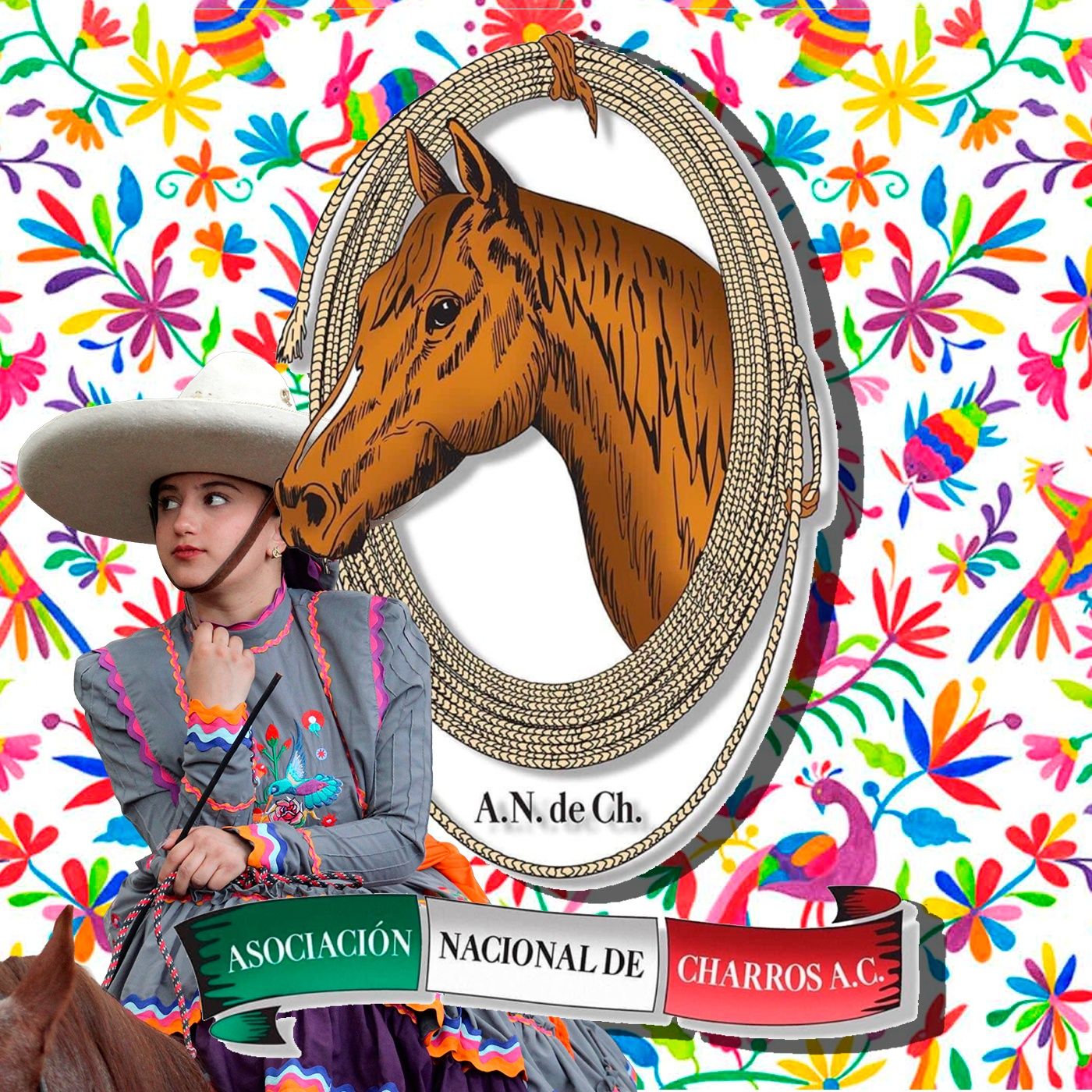 TRADICION VIVA TV - ANCH