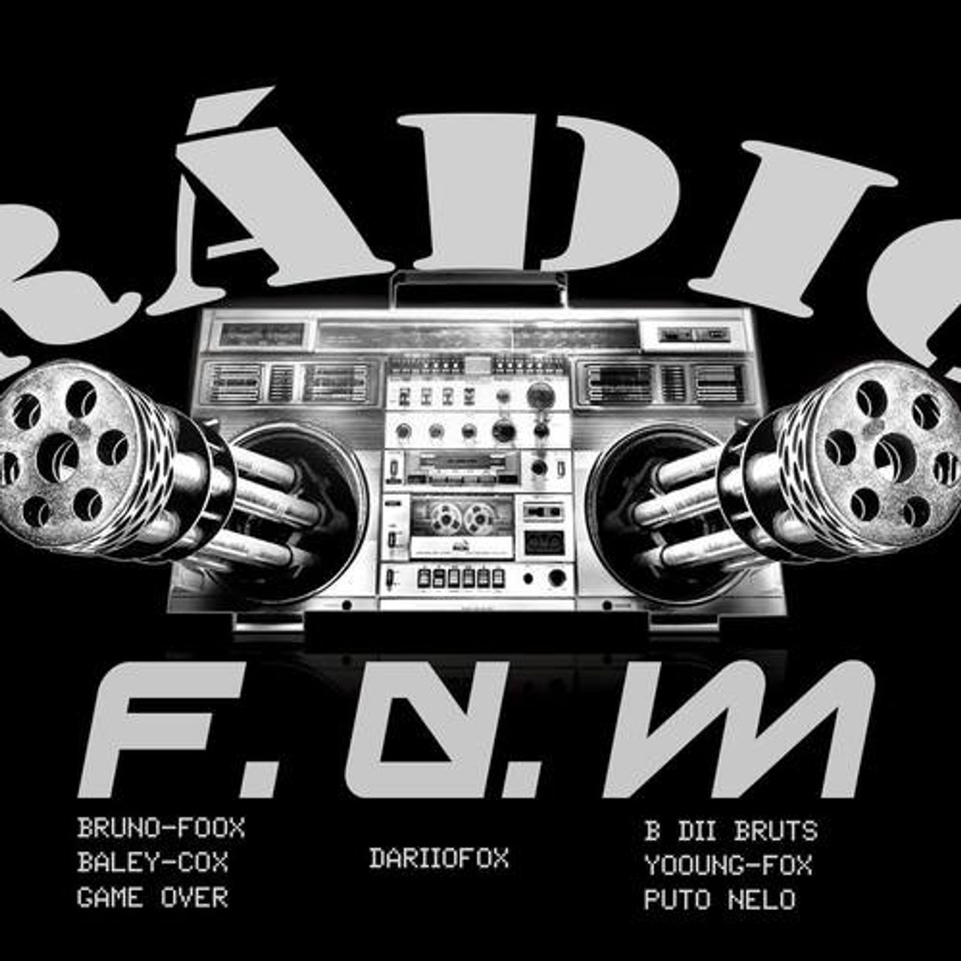 radio f.d.m.