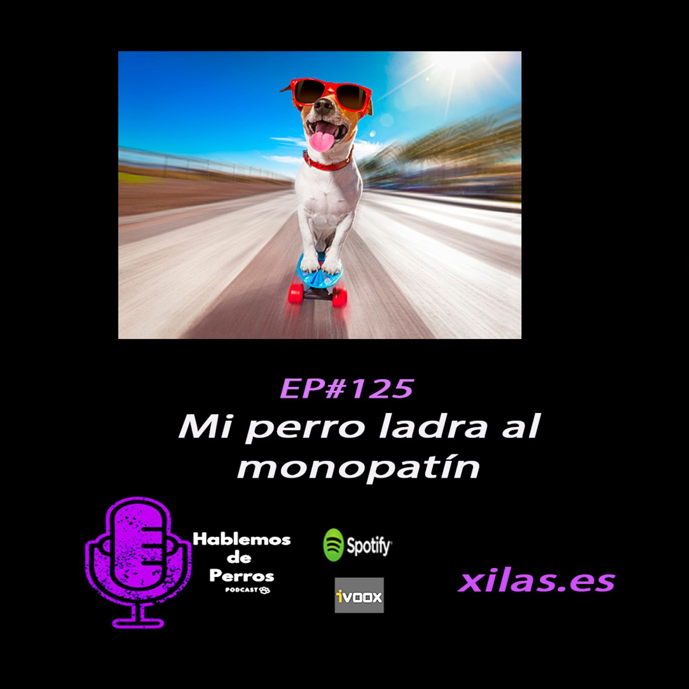 Hablemos de perros