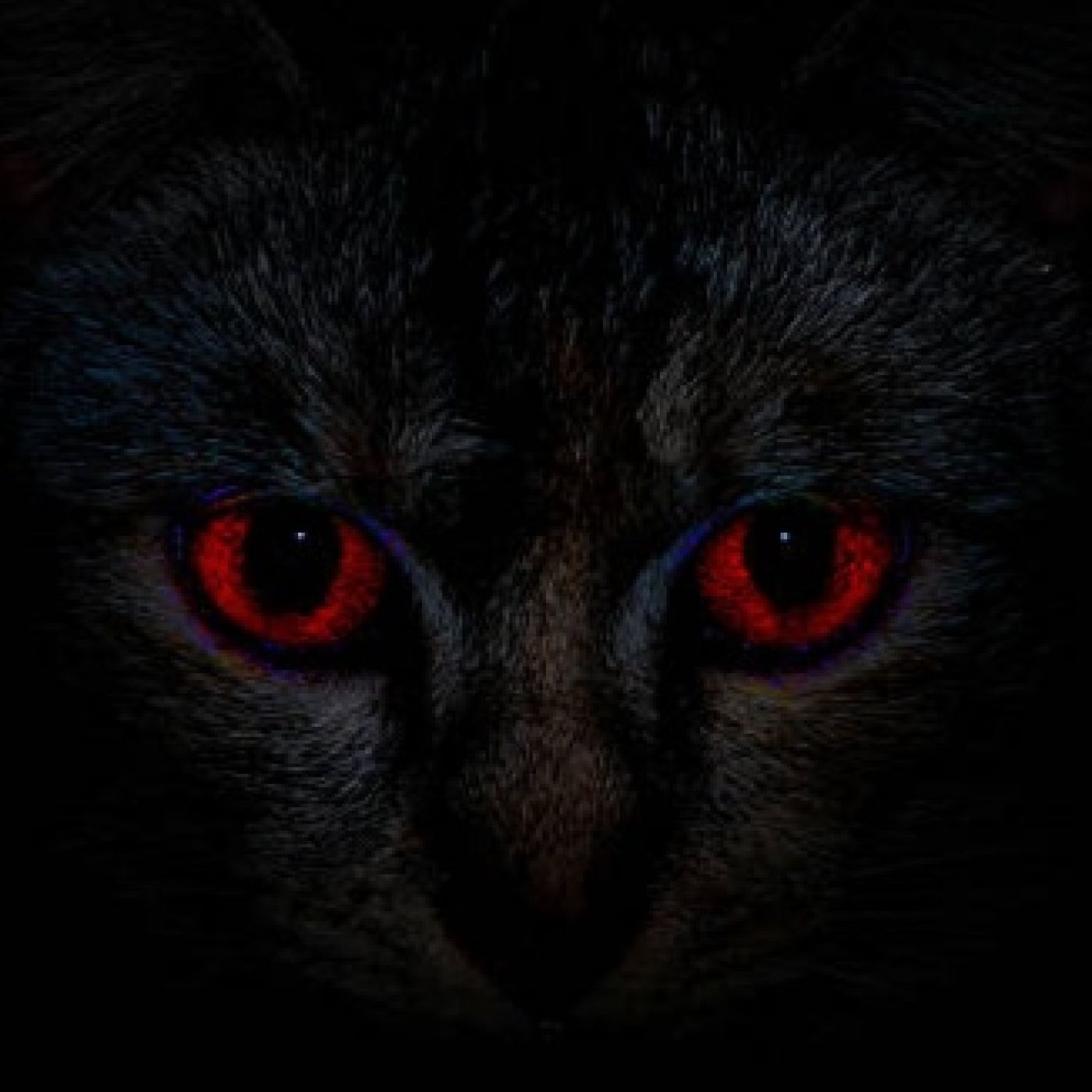 UNA RUTA PARANORMAL