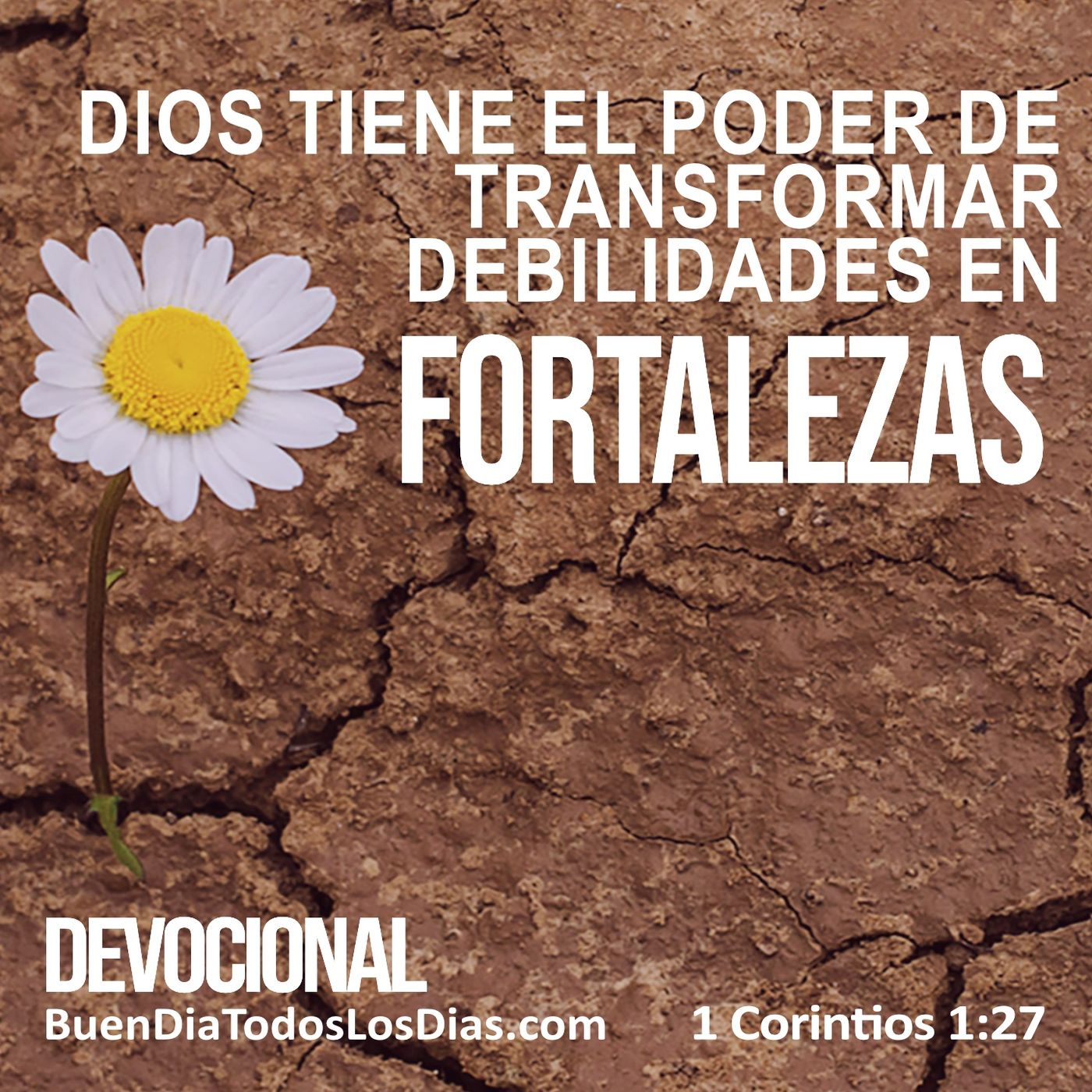 Eres fuerte en Dios episode artwork