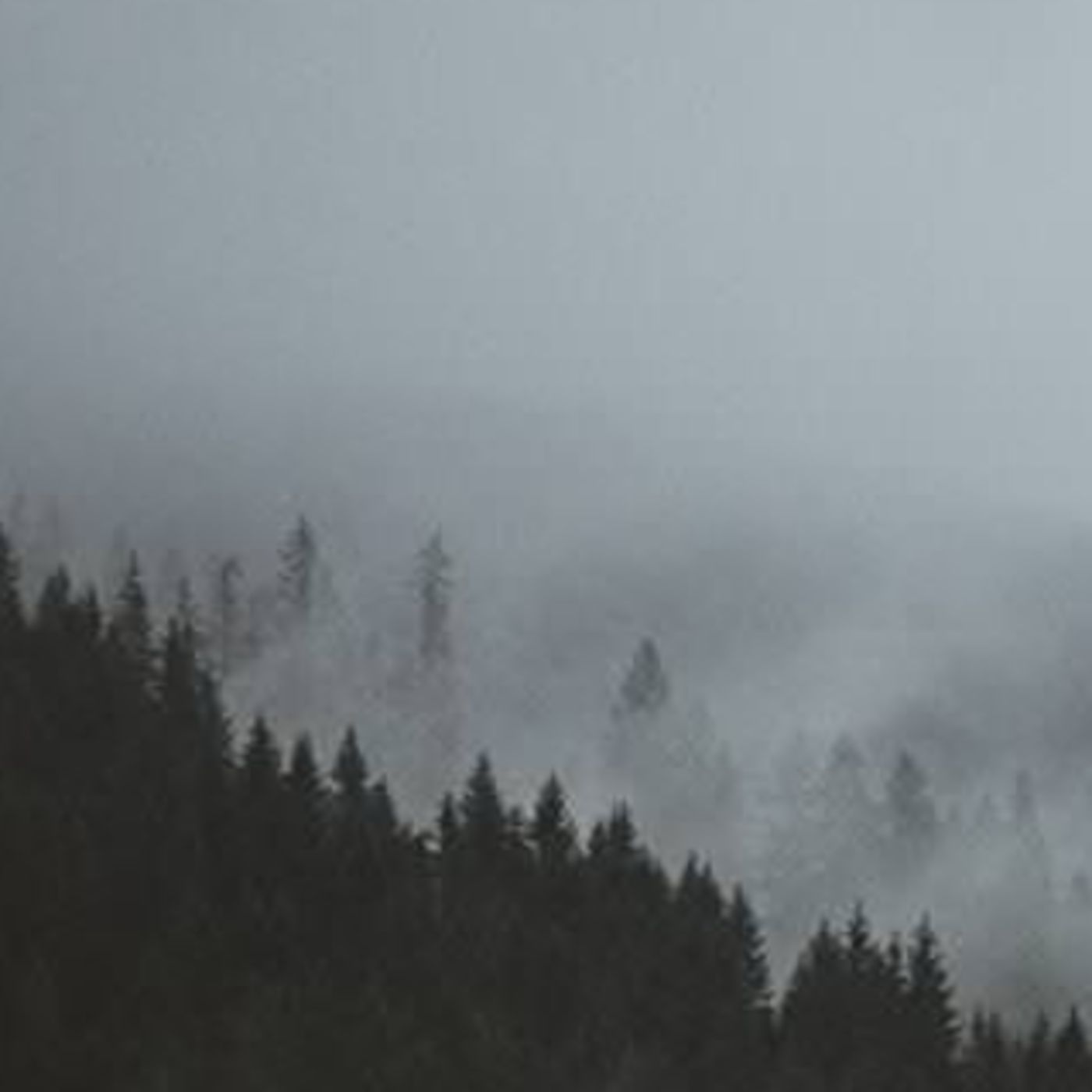 Palabras de vida