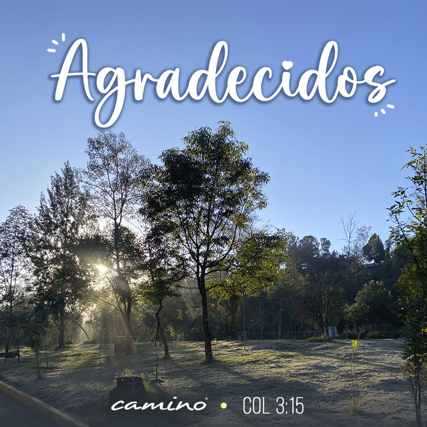 Oración 29 de abril (Agradecidos) episode artwork