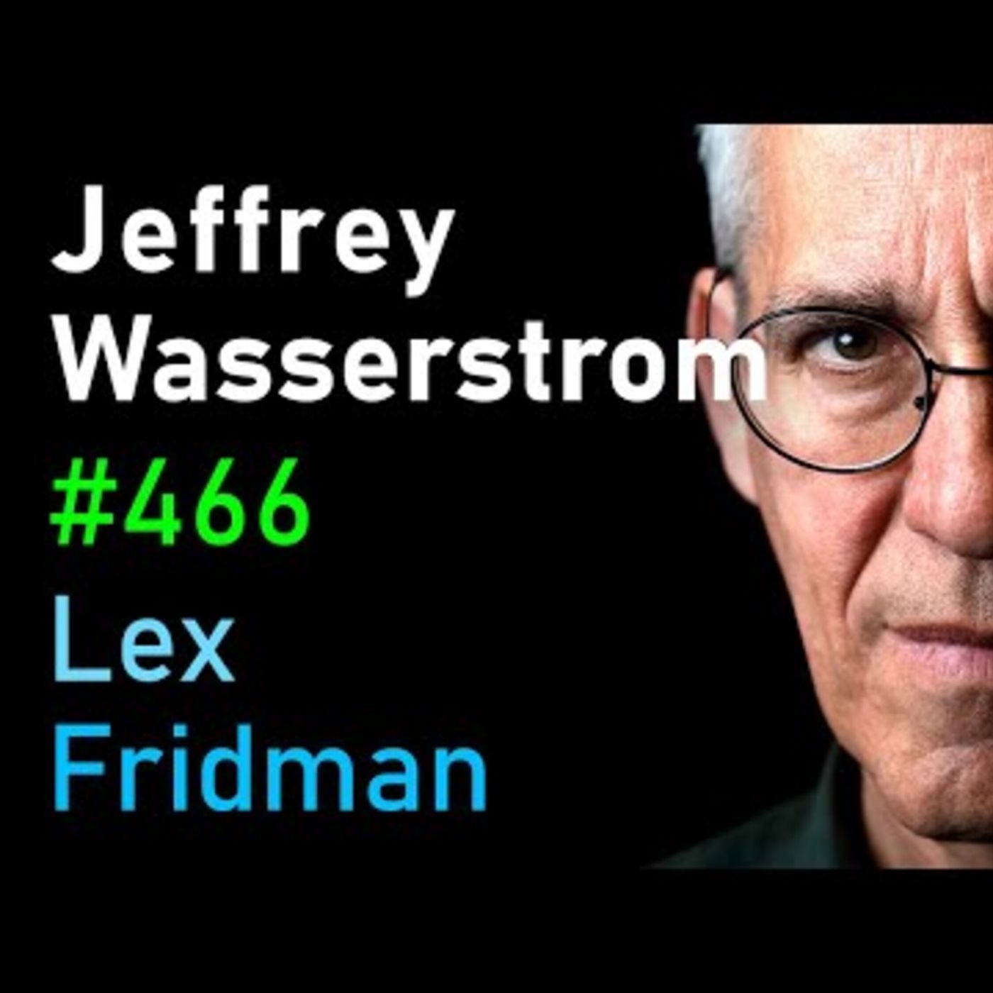 Jeffrey Wasserstrom_ China_ Xi Jinping_ Trade War_ Taiwan_ Hong Kong_ Mao _ Lex Fridman Podcast _466