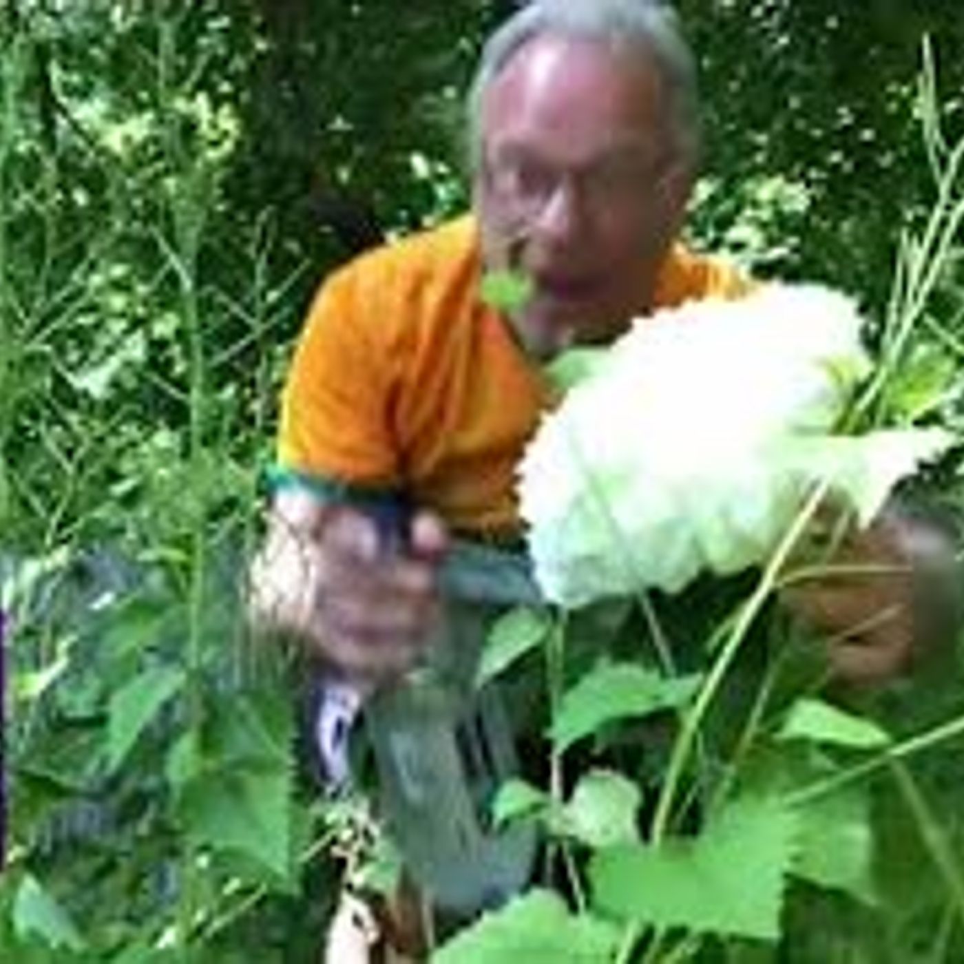 This week on In The Weeds....Flower and Tonic with Alissa Merrill