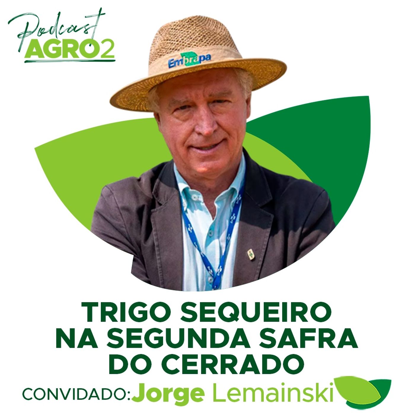 Trigo sequeiro é alternativa para 2ª safra; expansão da produção brasileira passa pelo Cerrado #250 episode artwork