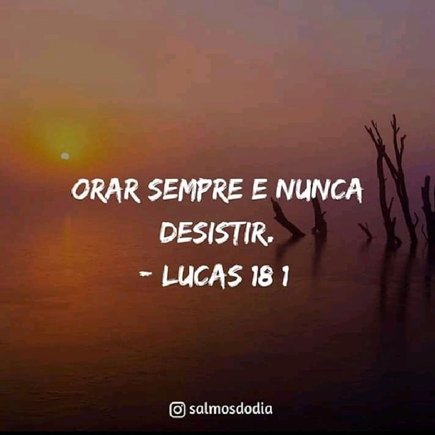 Sermões De Jhonatan Ricardo Dias