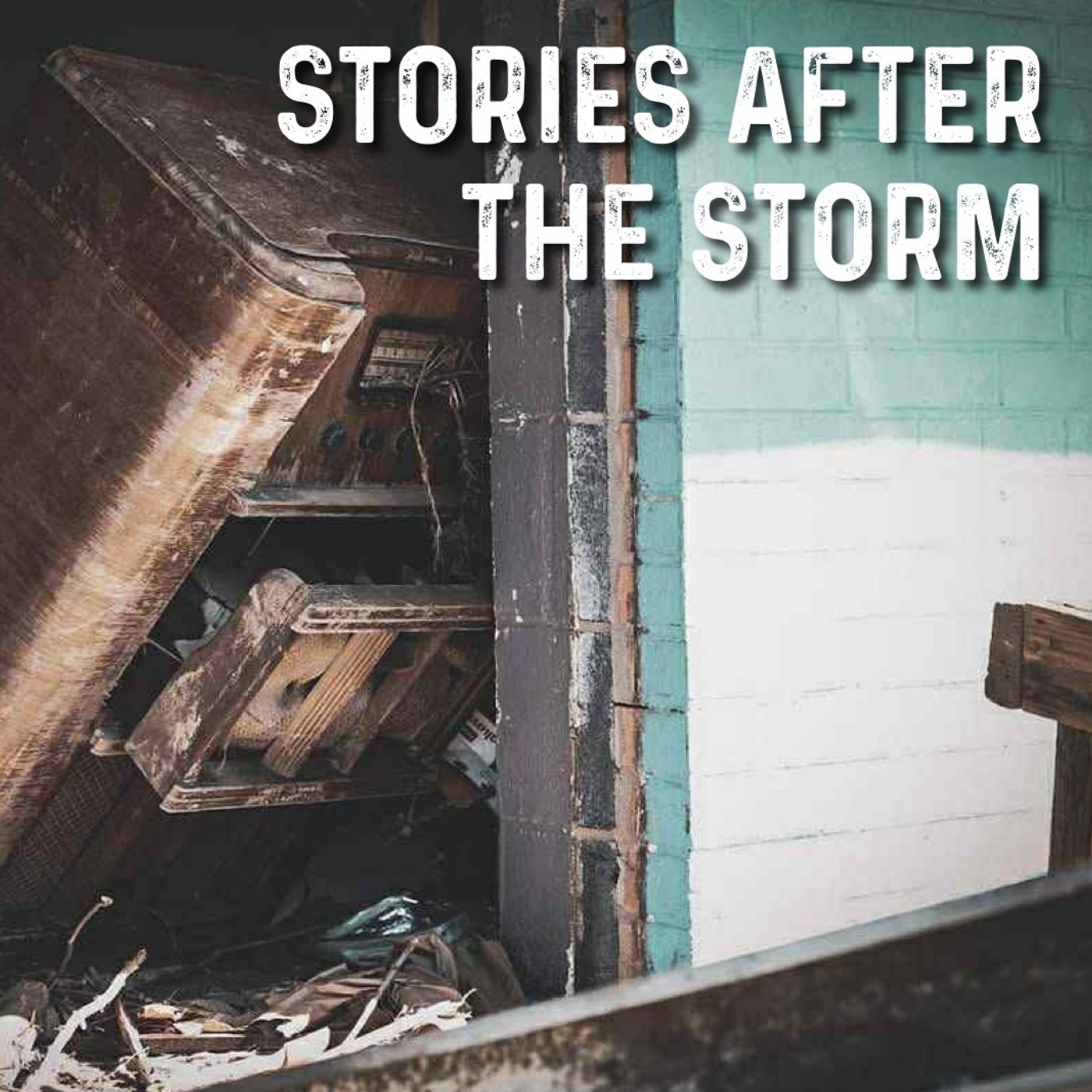 Stories After the Storm - Looking Forward