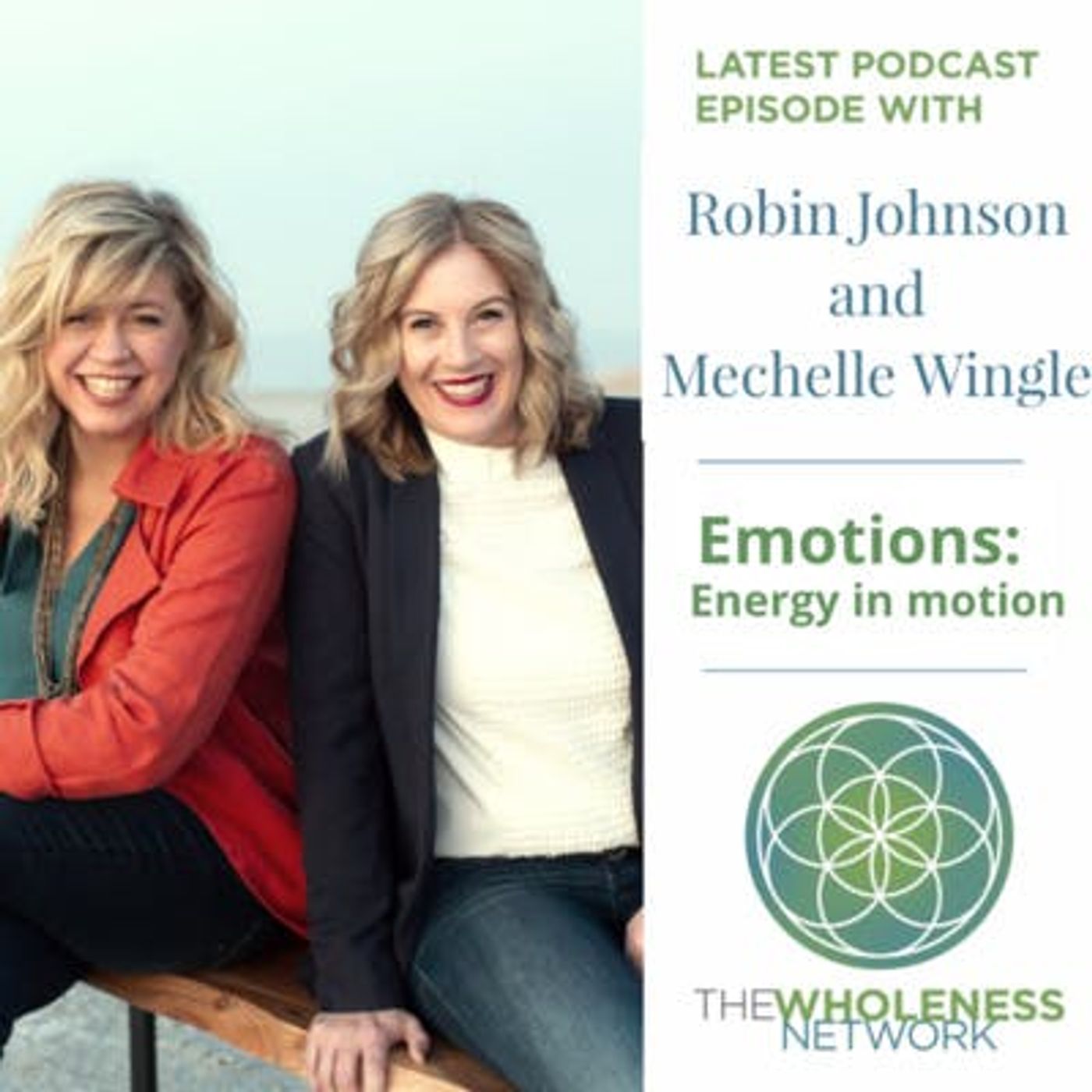 29. Emotions: Energy in Motion episode artwork