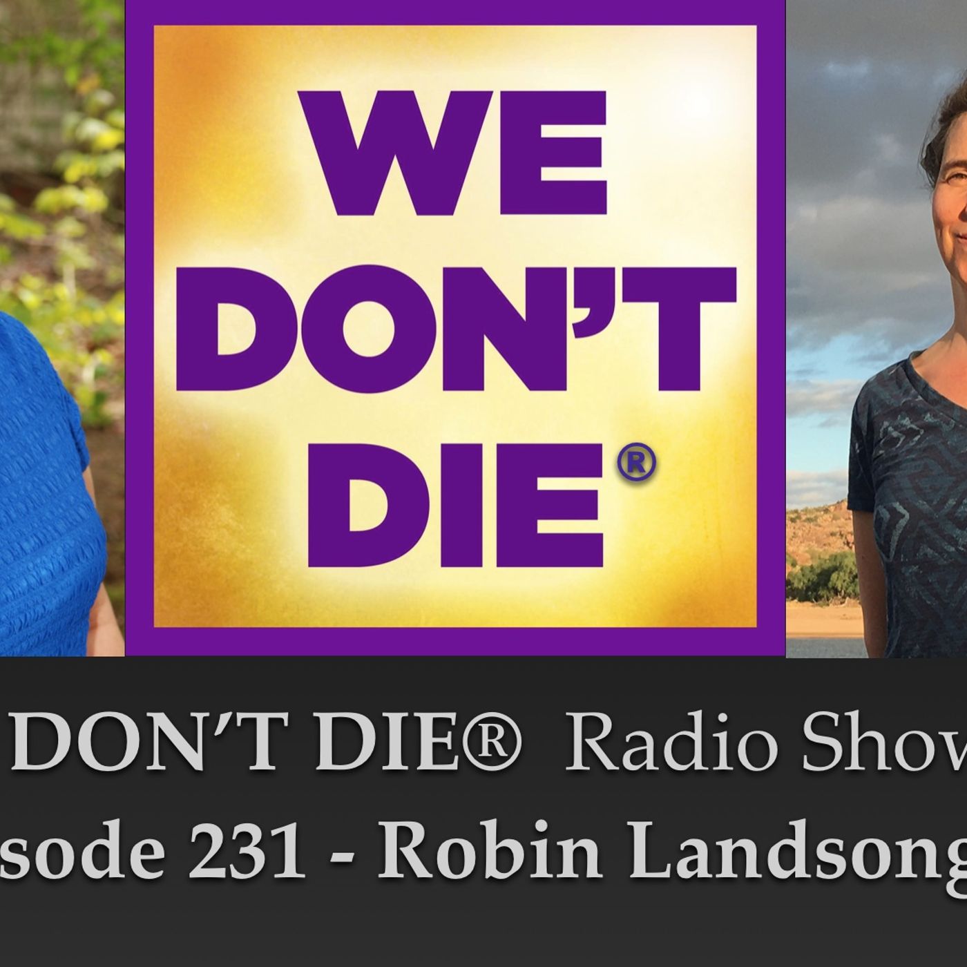 231  Robin Landsong - NDE and Medicine Songs episode artwork