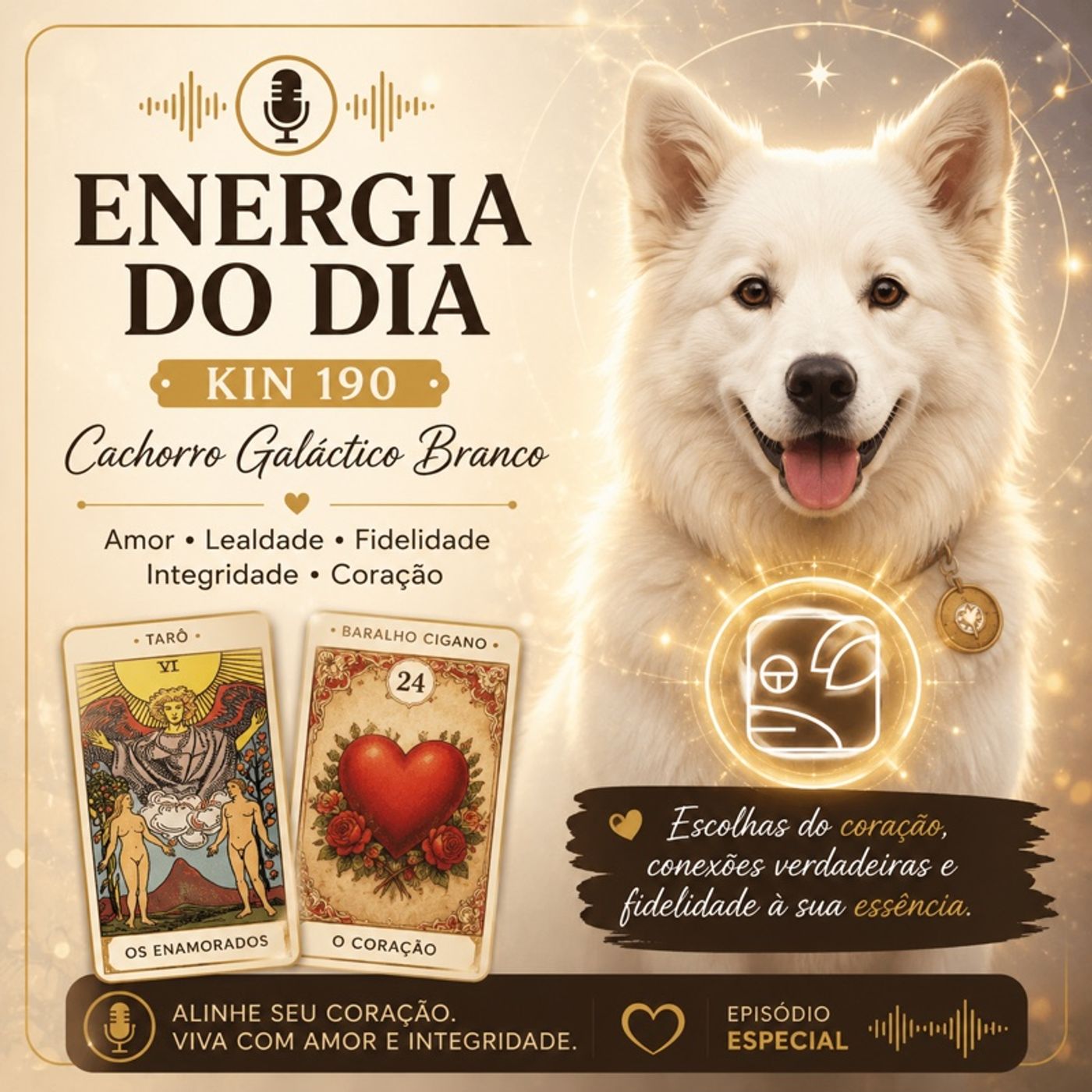 Energia do Dia  Kin 190 – Cachorro Galáctico Branco episode artwork