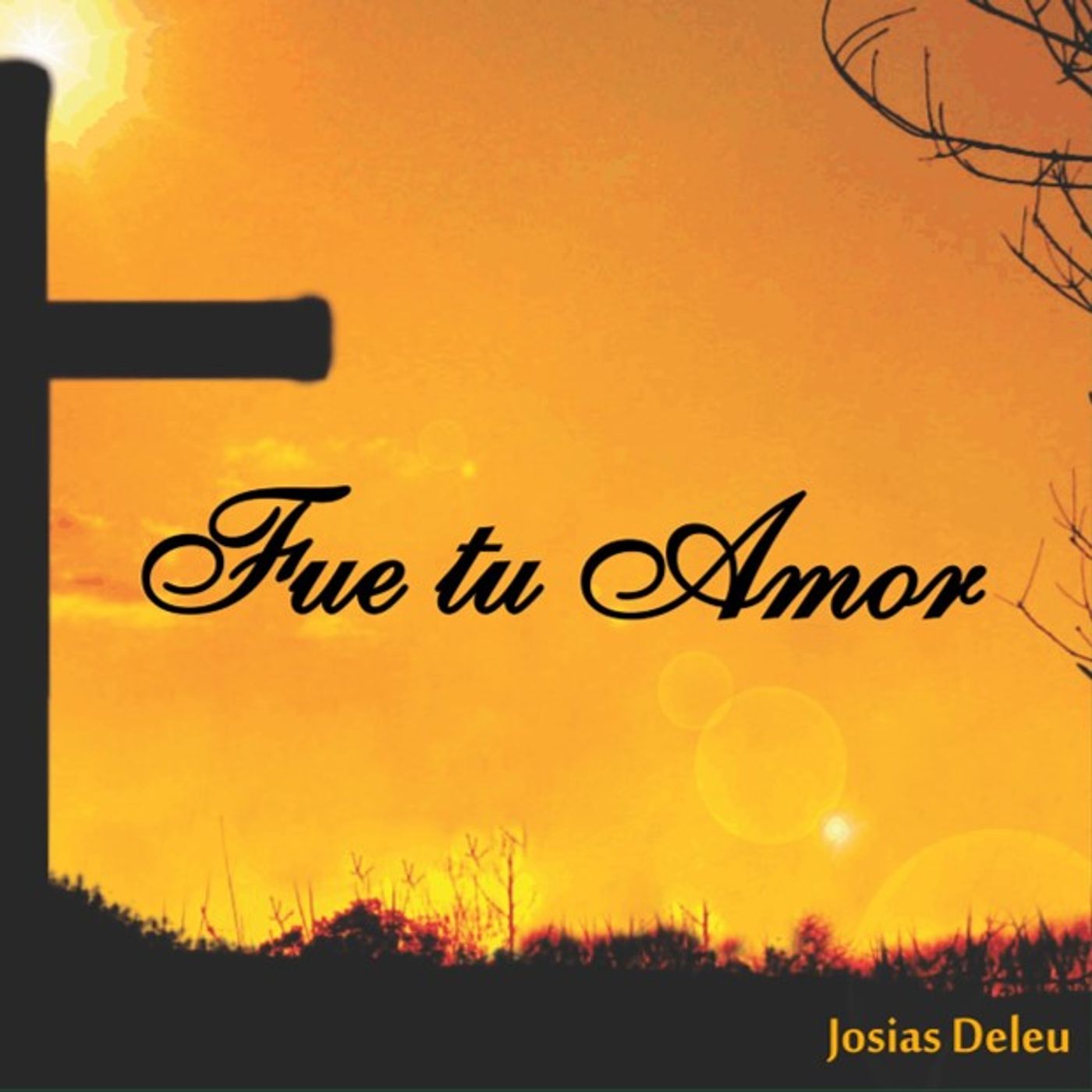 Fue tu Amor - Josías Deleu