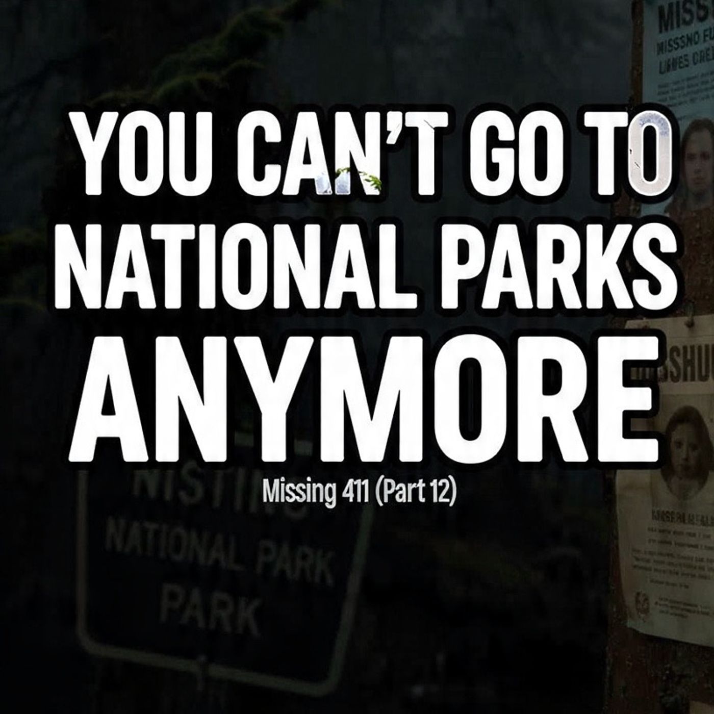 You can't go to National Parks anymore Missing 411 (Part 12) episode artwork