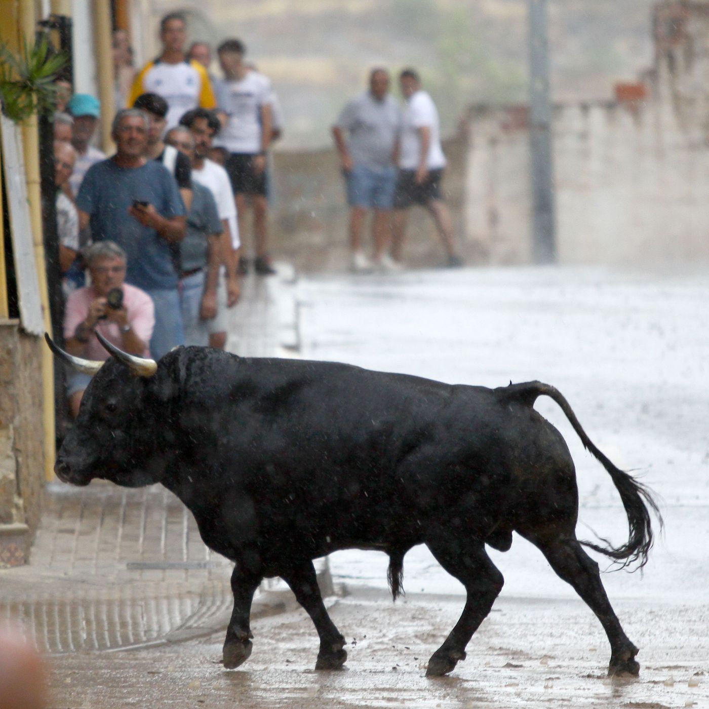Hablemos de Toros