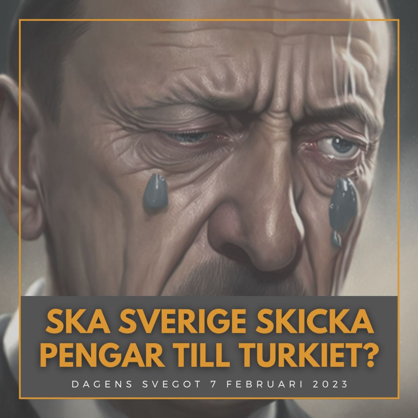 Ska Sverige skicka pengar till Turkiet? episode artwork