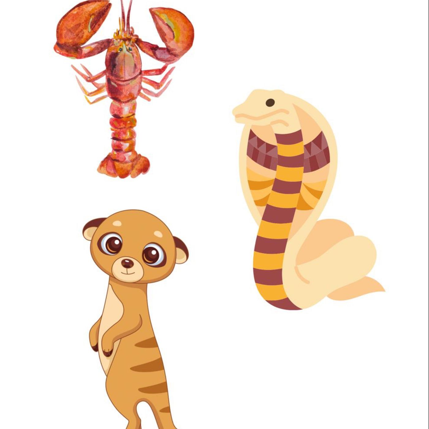 Langosta cobra y mangosta