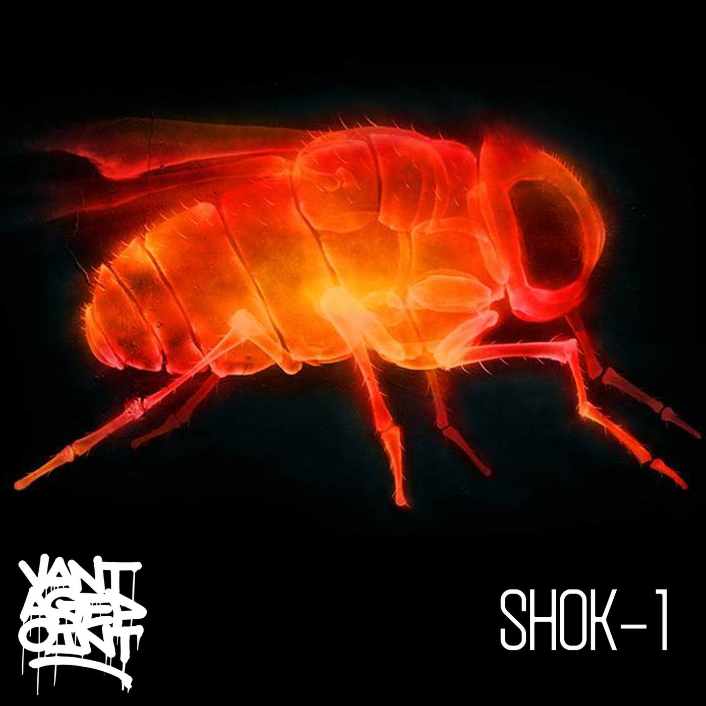 EP 59 - SHOK-1