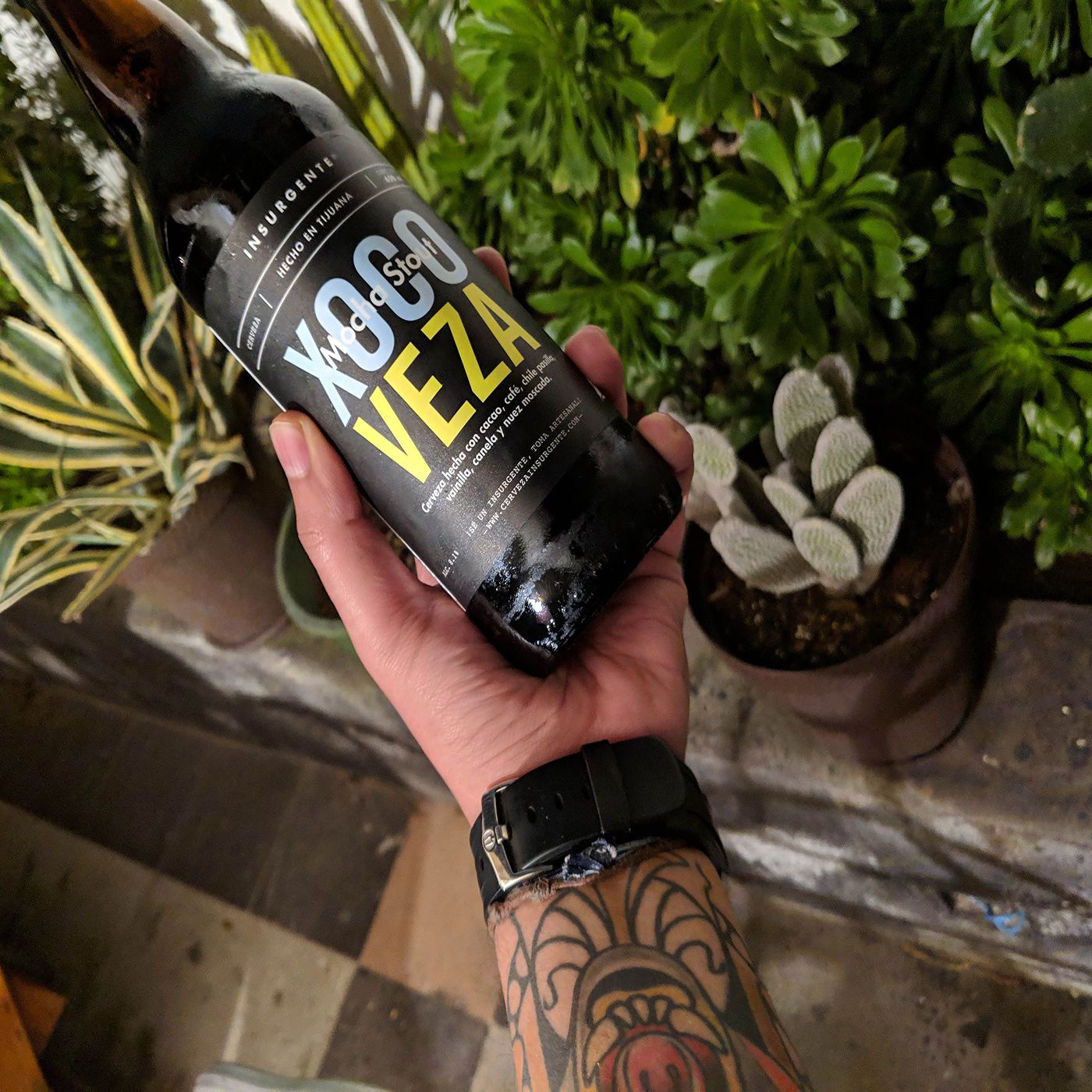 Cervezas Artesanales Méxicanas
