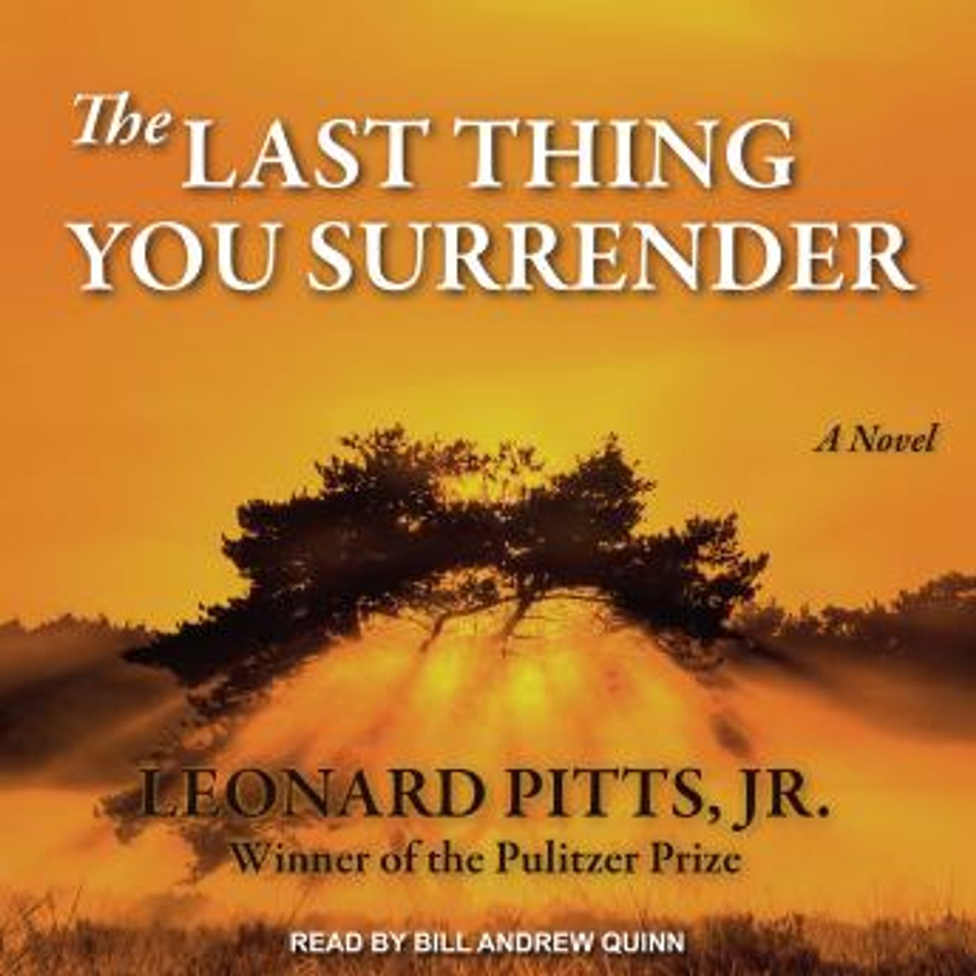 Grab the Essential Full Audiobooks in Fiction, Westerns & War